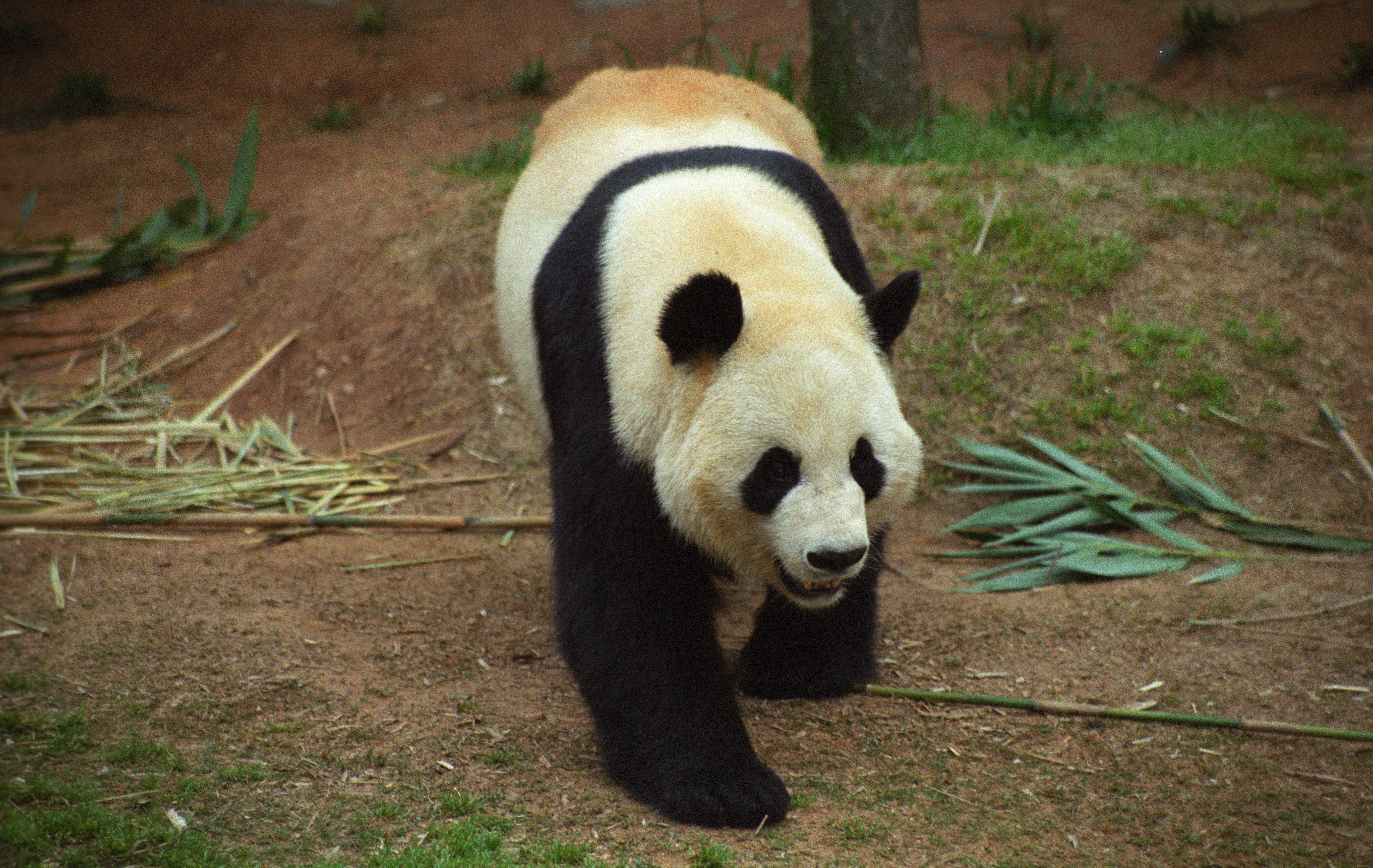 Zoo Atlanta