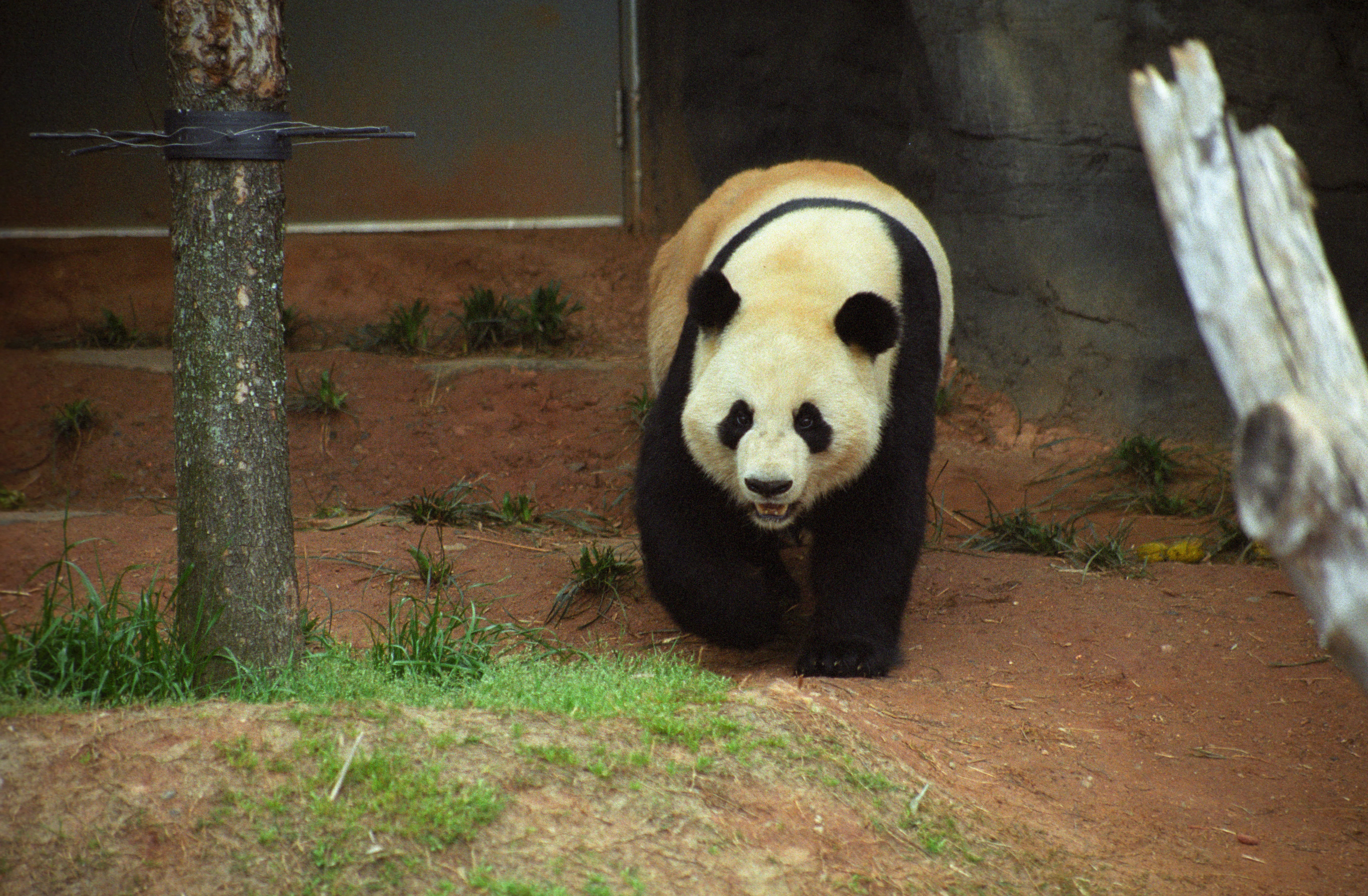 Zoo Atlanta