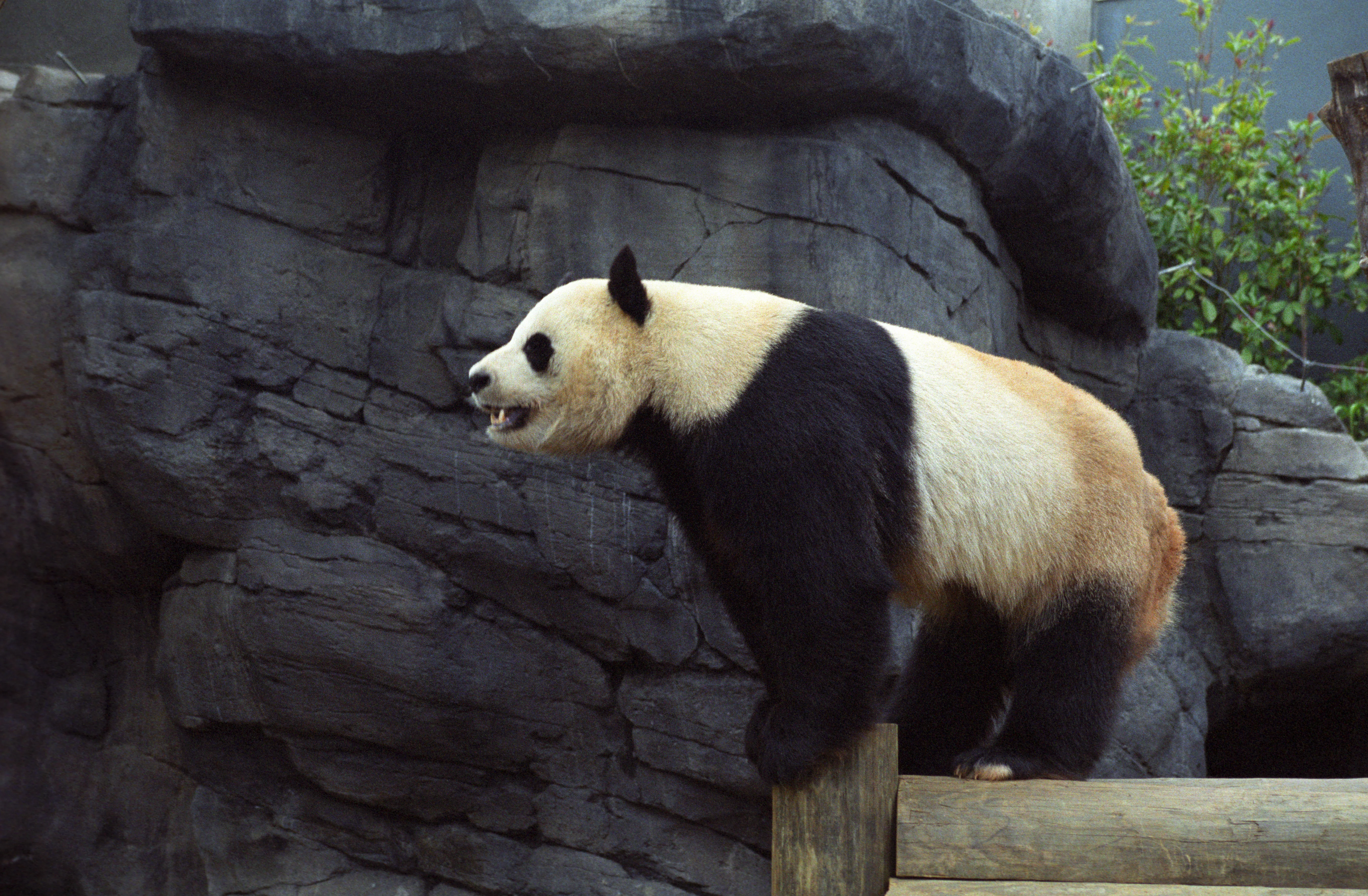 Zoo Atlanta