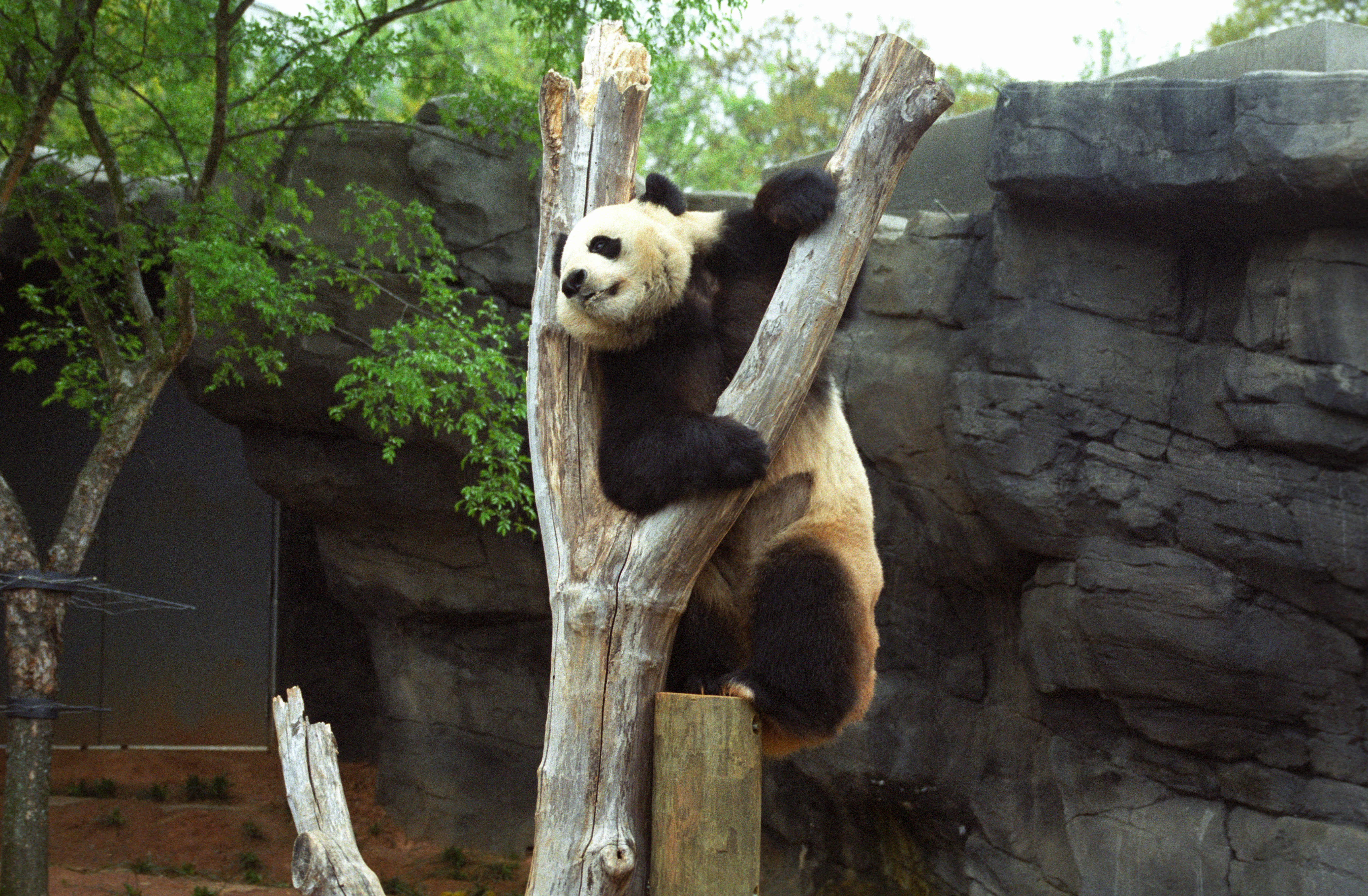 Zoo Atlanta