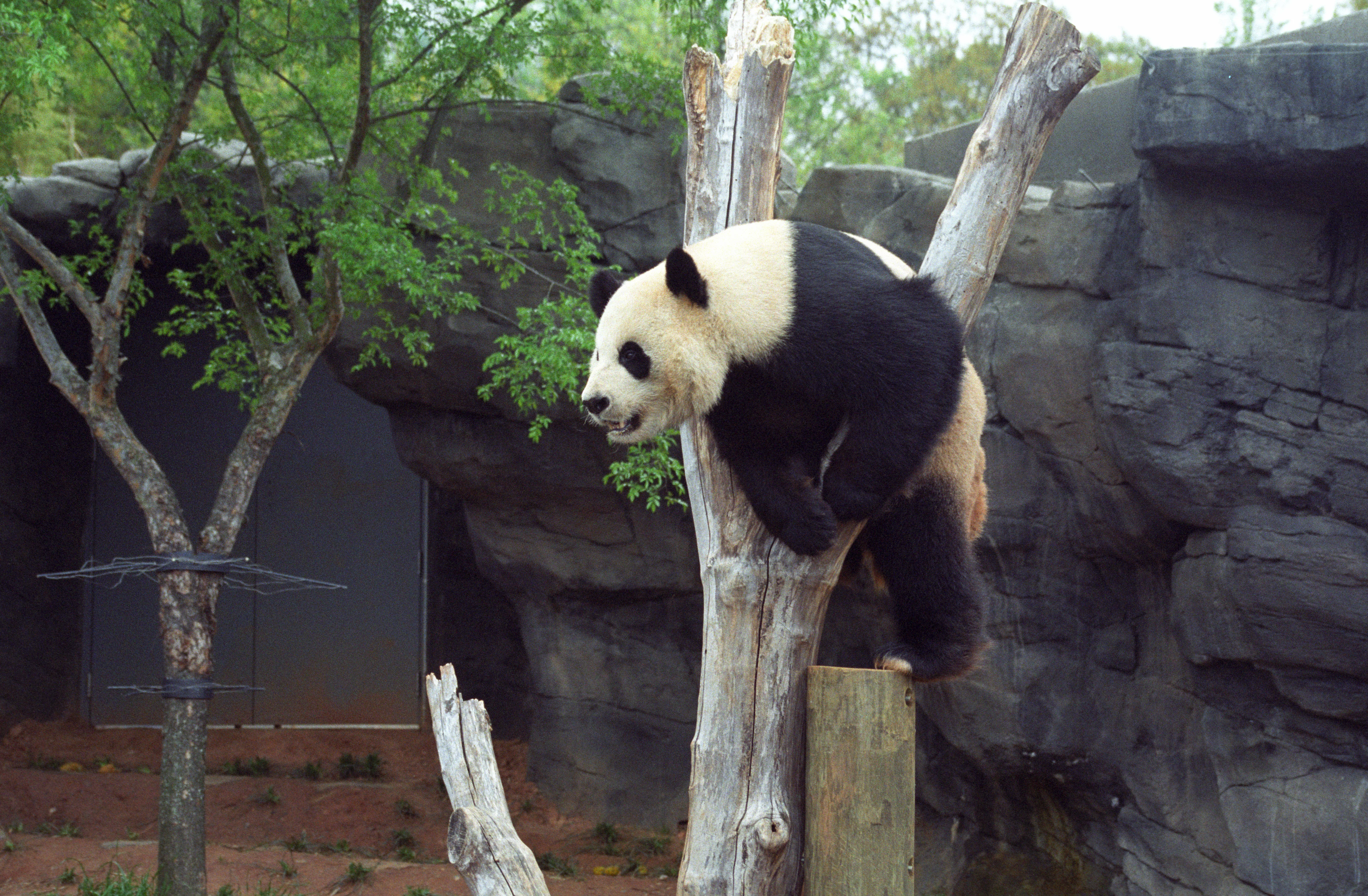 Zoo Atlanta
