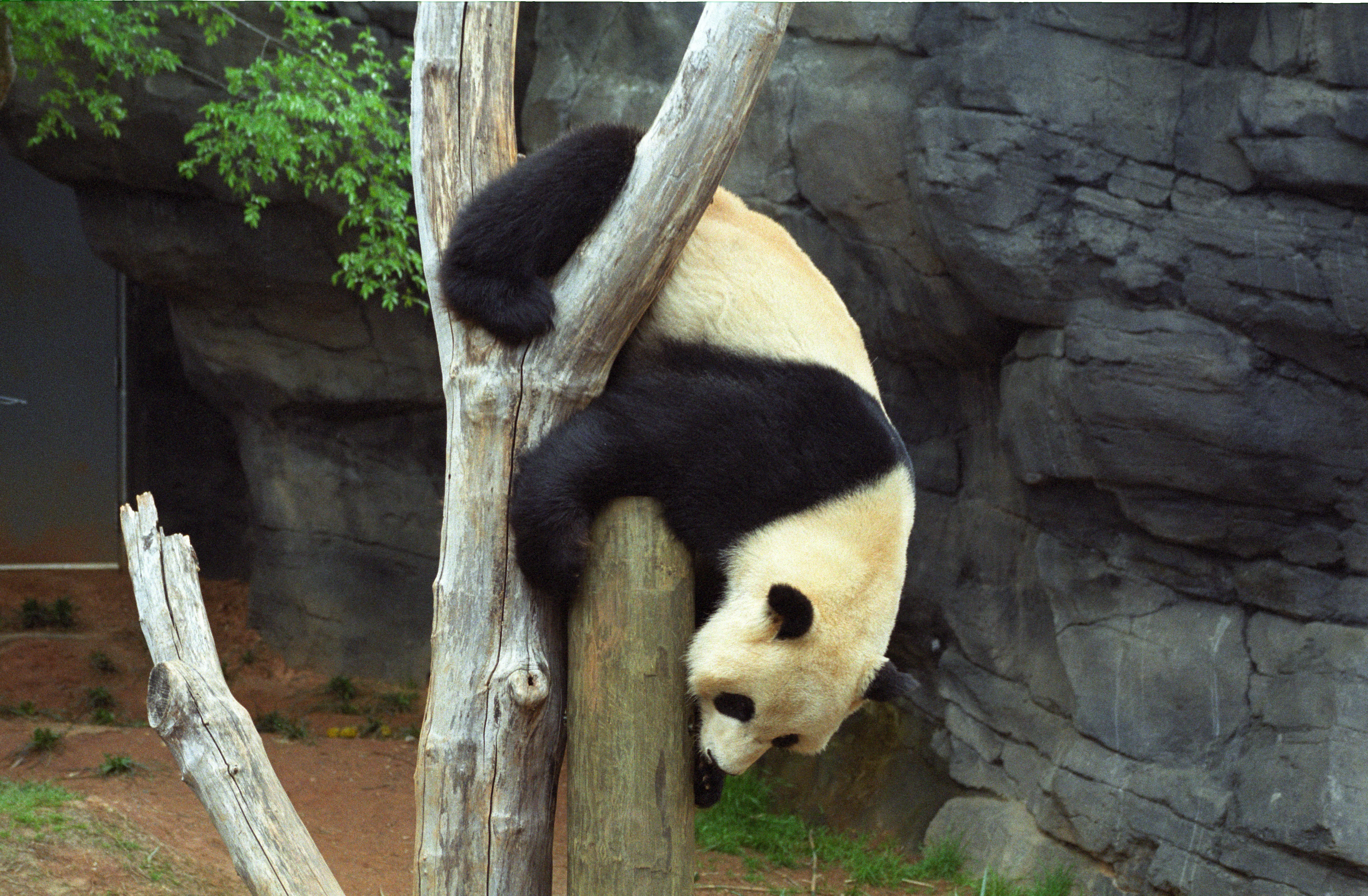 Zoo Atlanta