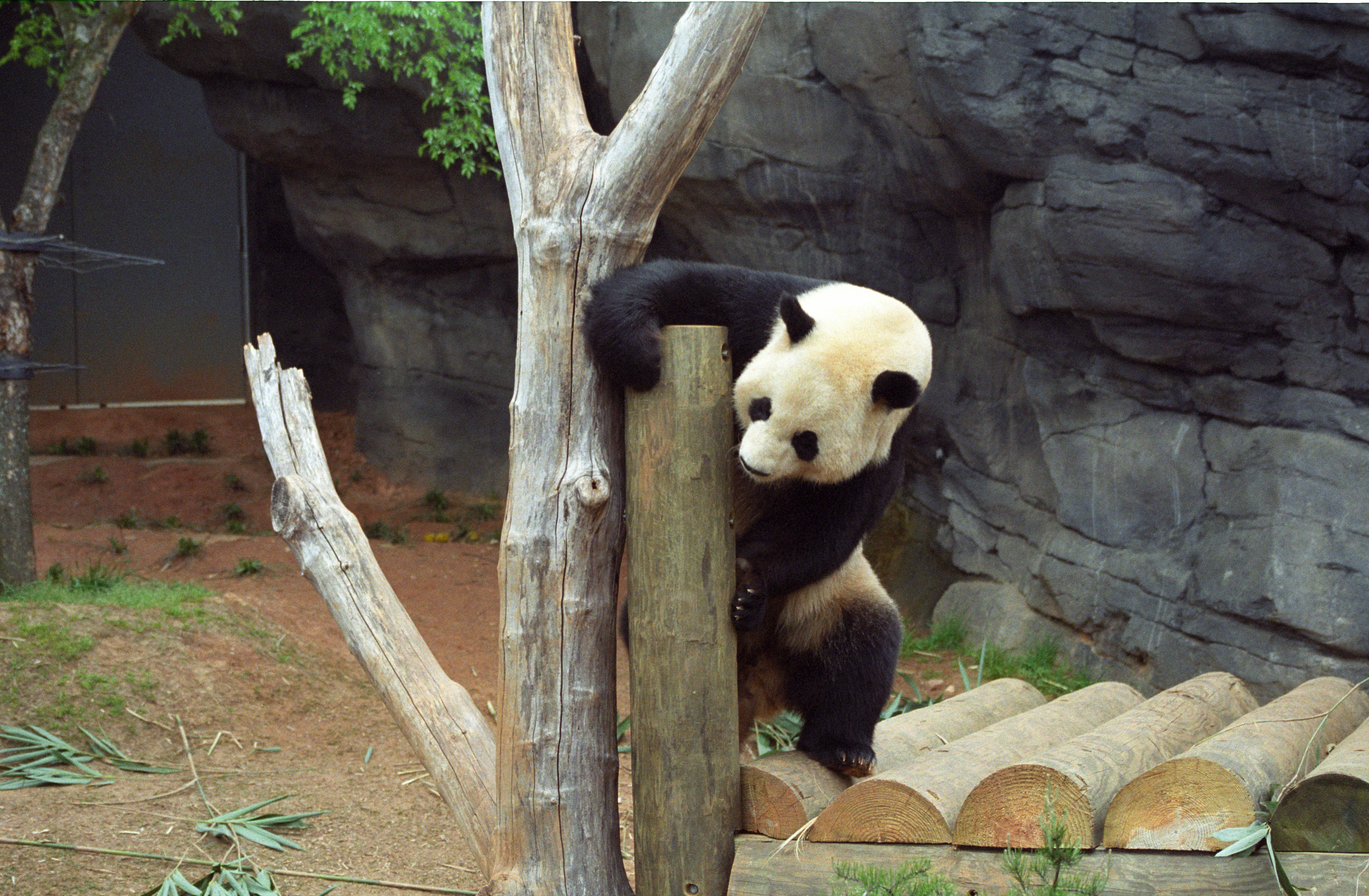 Zoo Atlanta