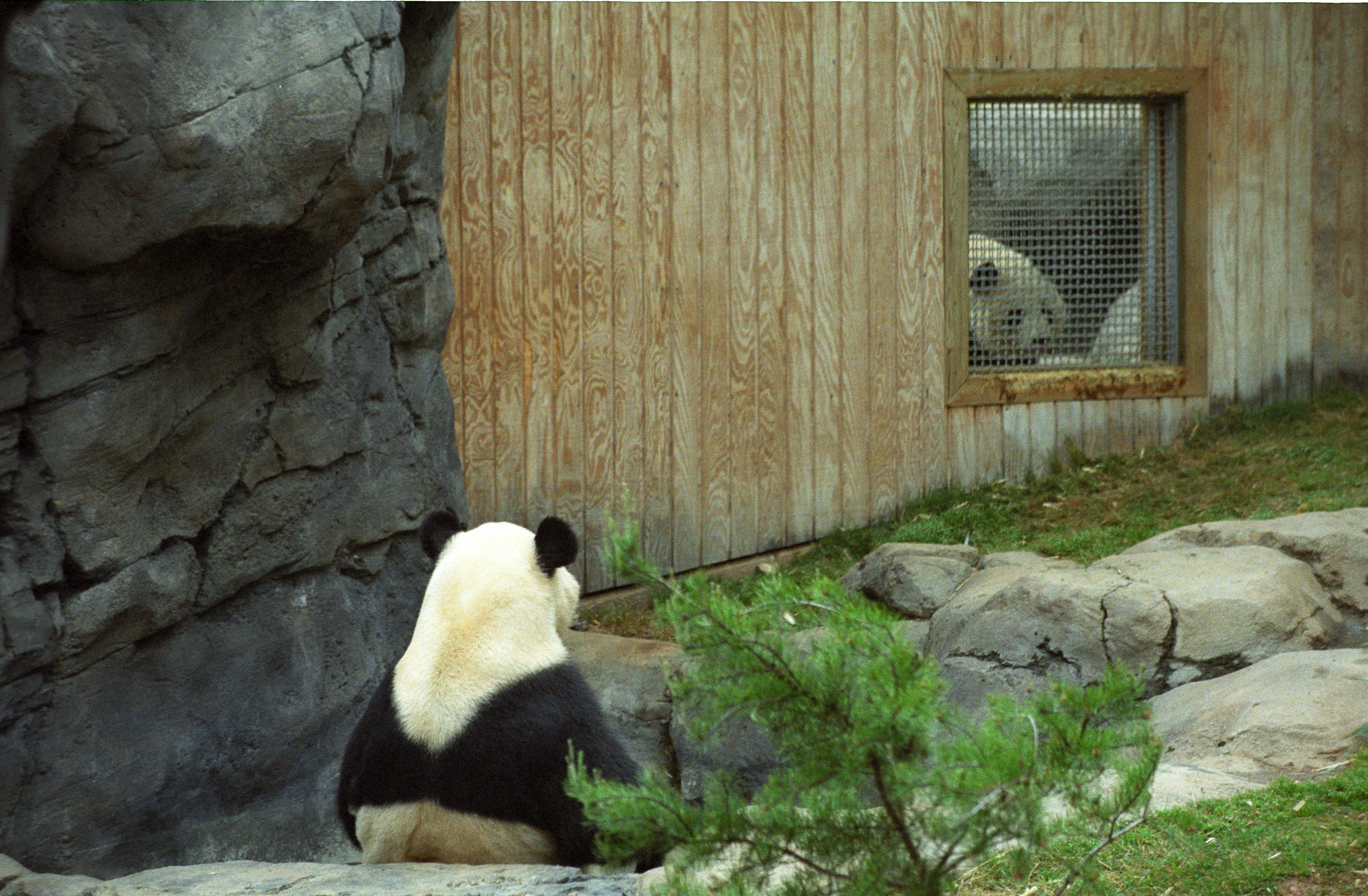 Zoo Atlanta