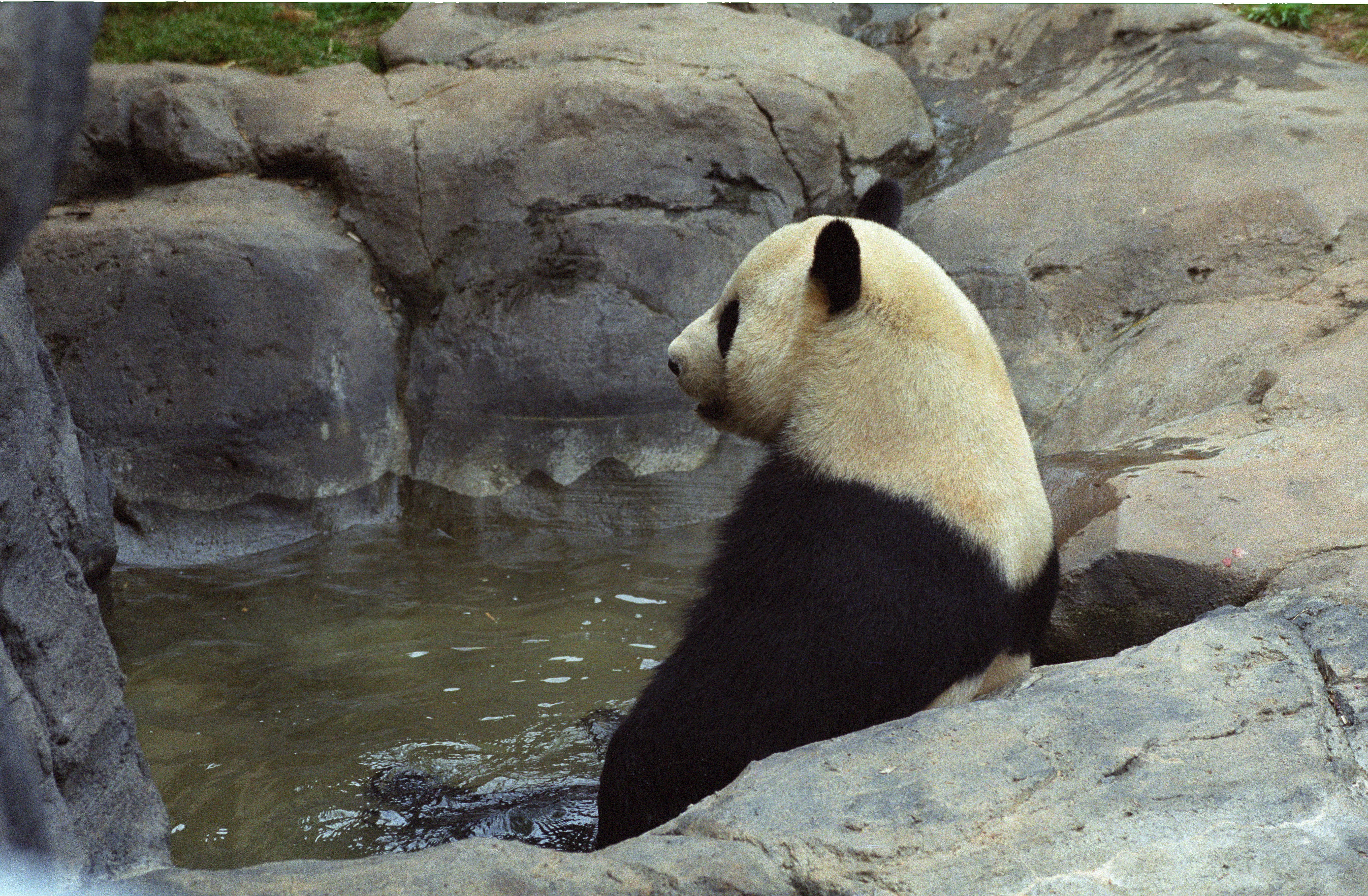 Zoo Atlanta