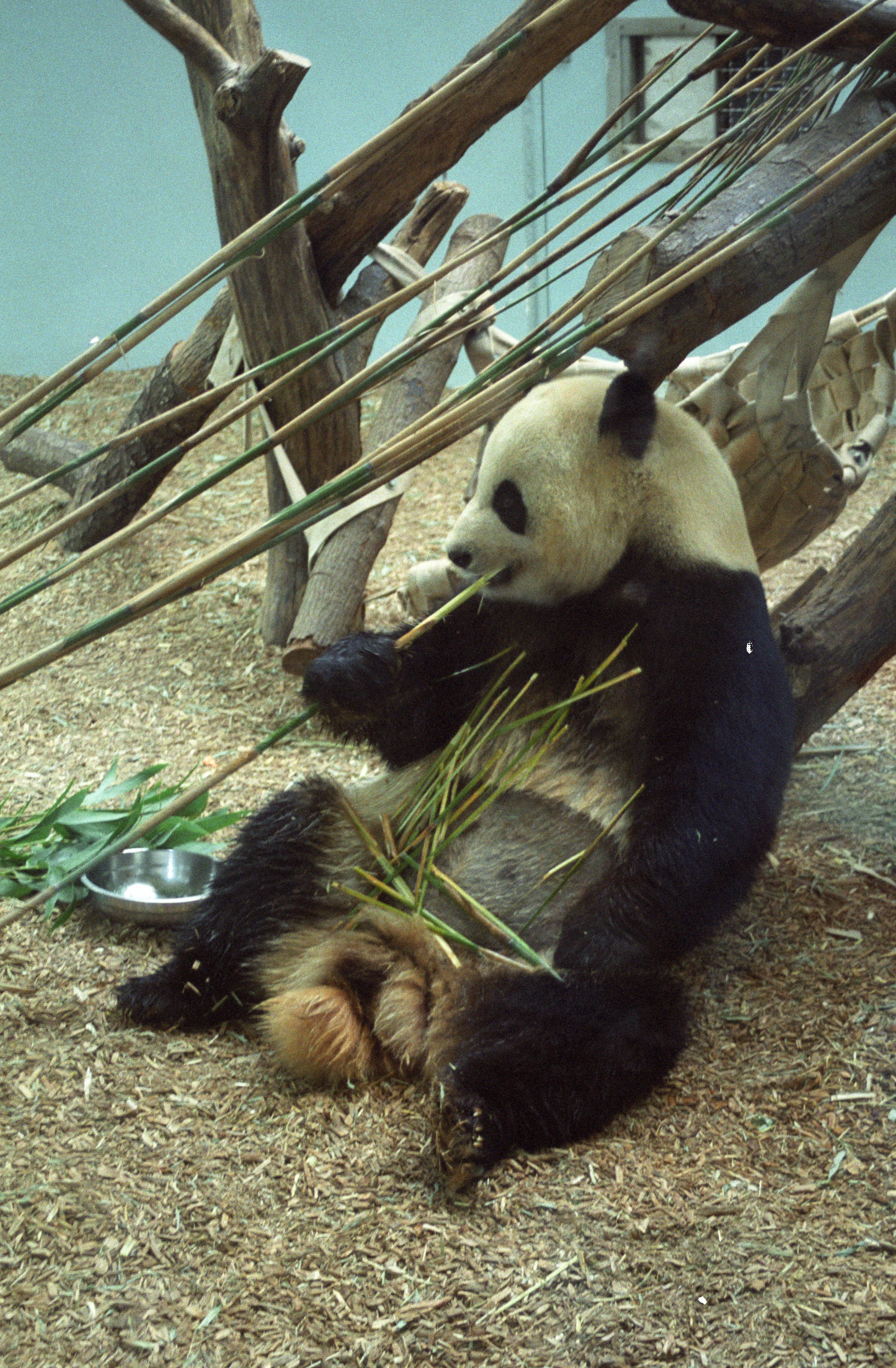 Zoo Atlanta