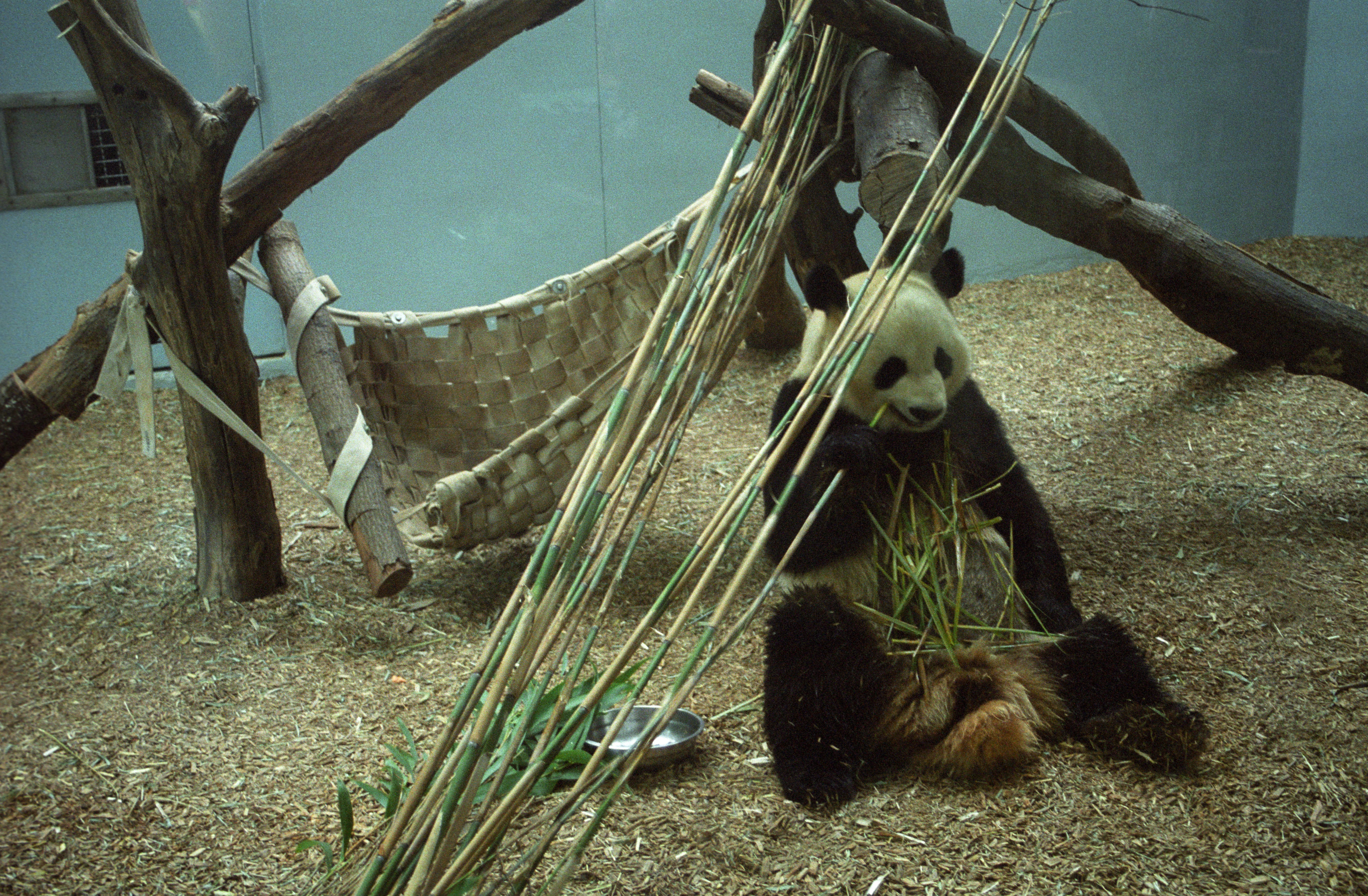 Zoo Atlanta