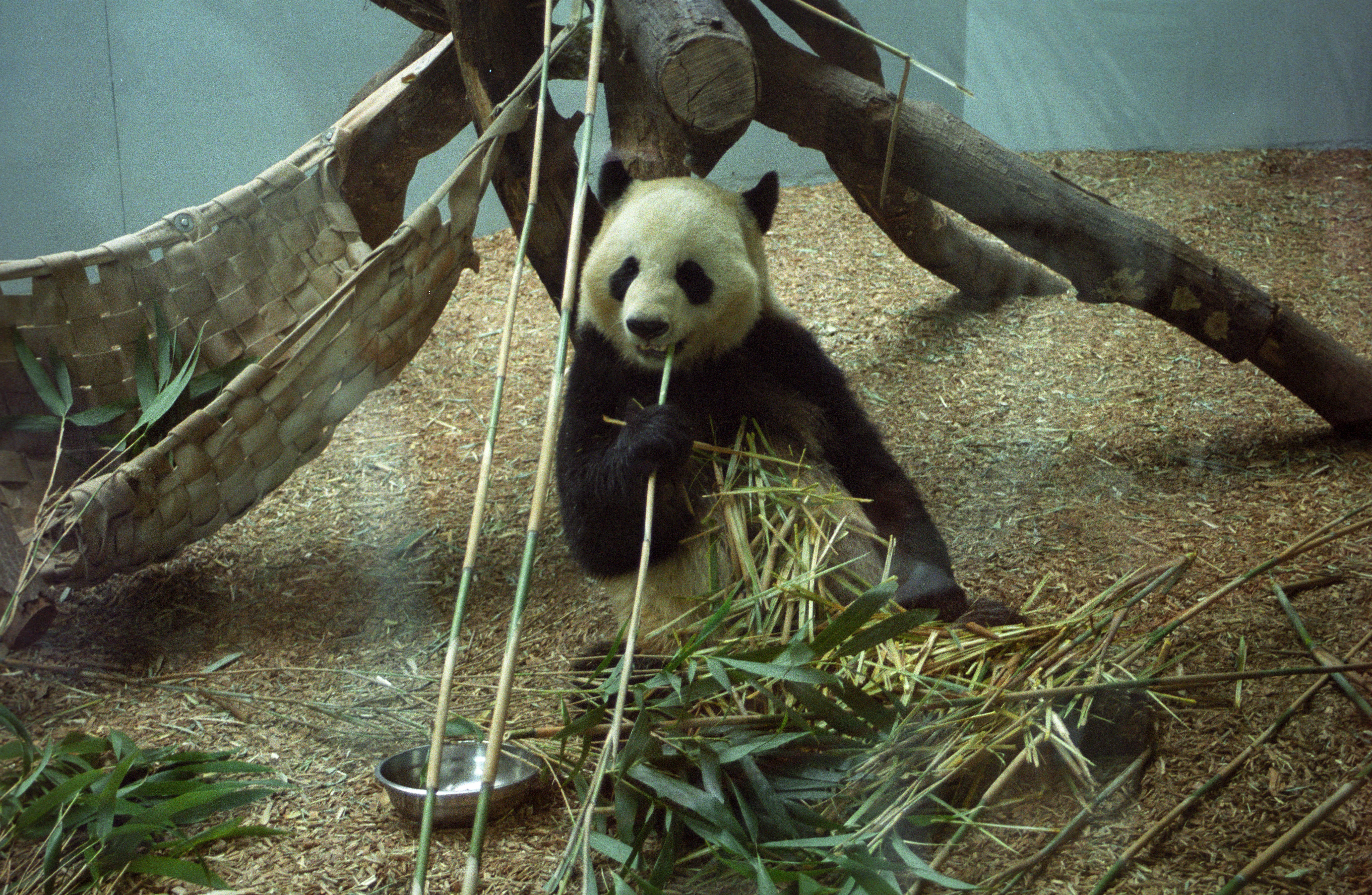 Zoo Atlanta