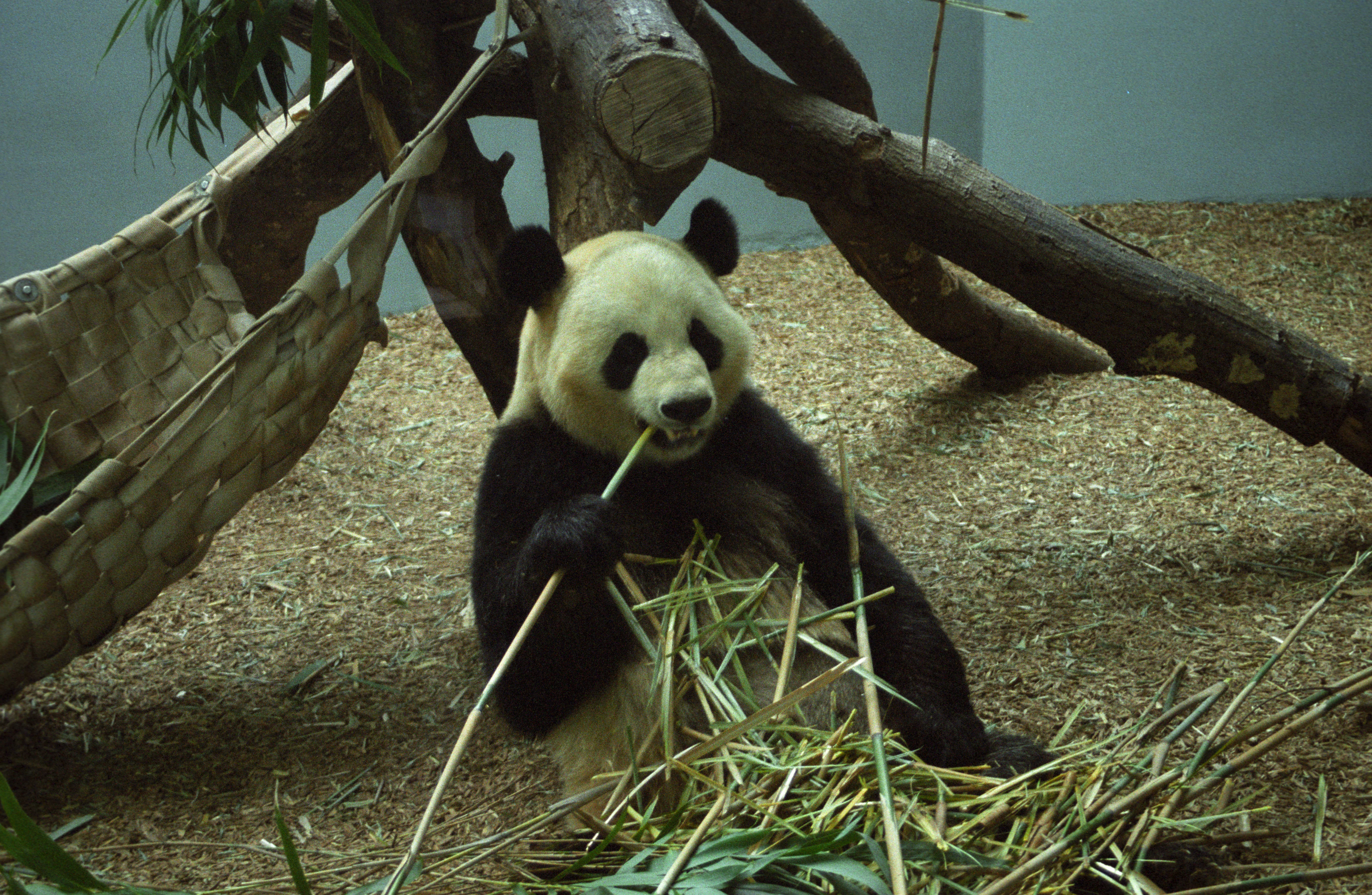 Zoo Atlanta