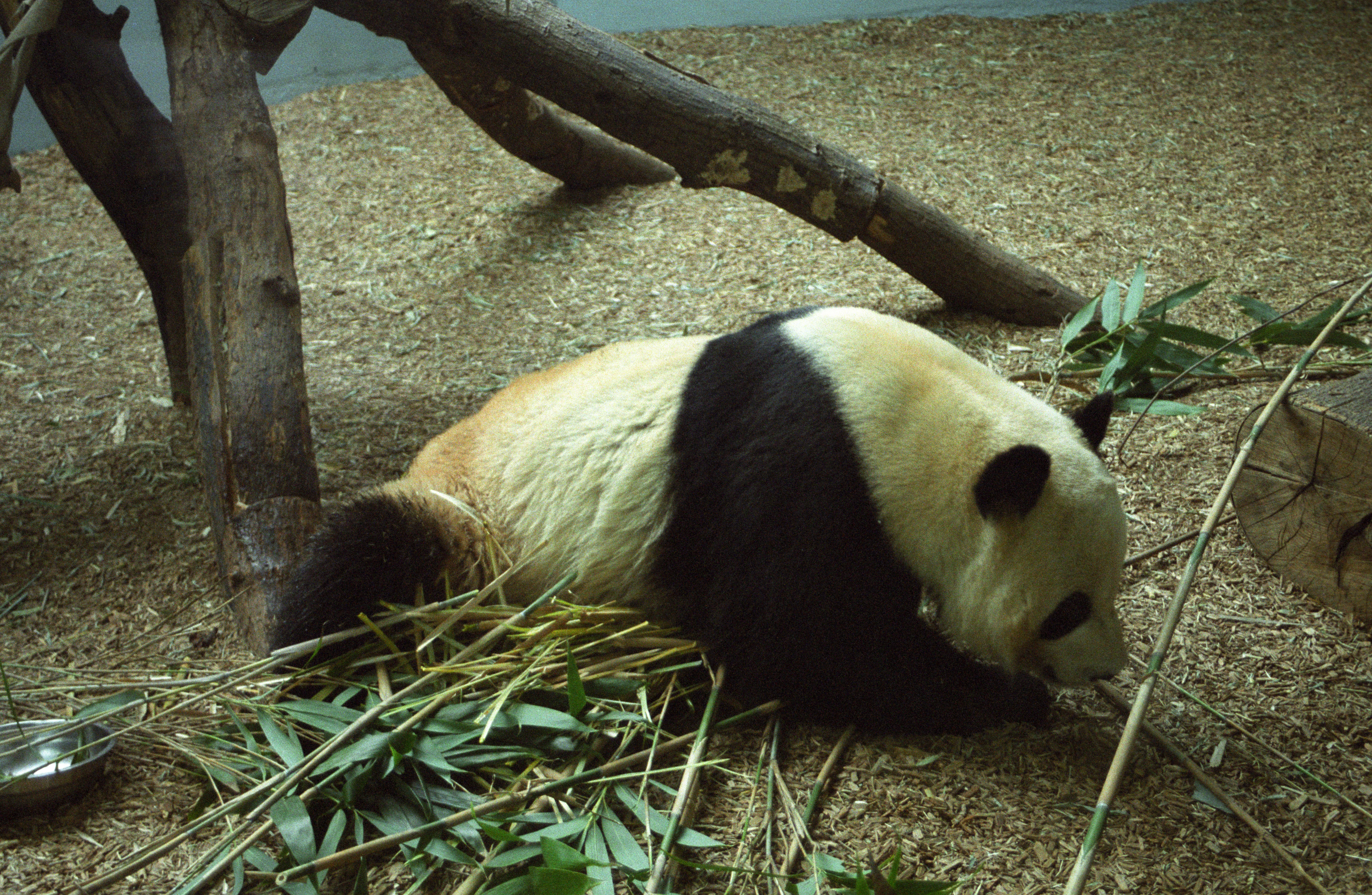 Zoo Atlanta