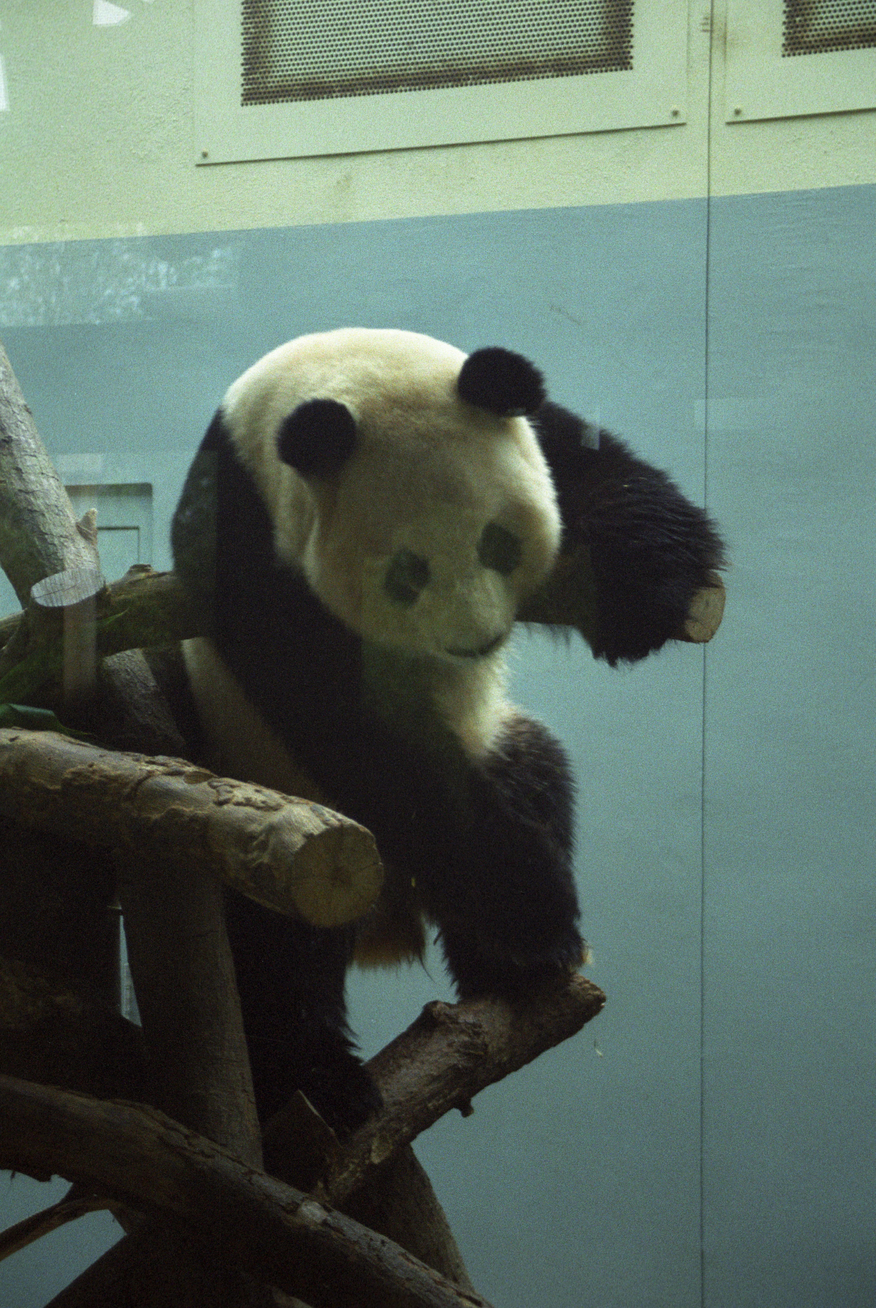 Zoo Atlanta