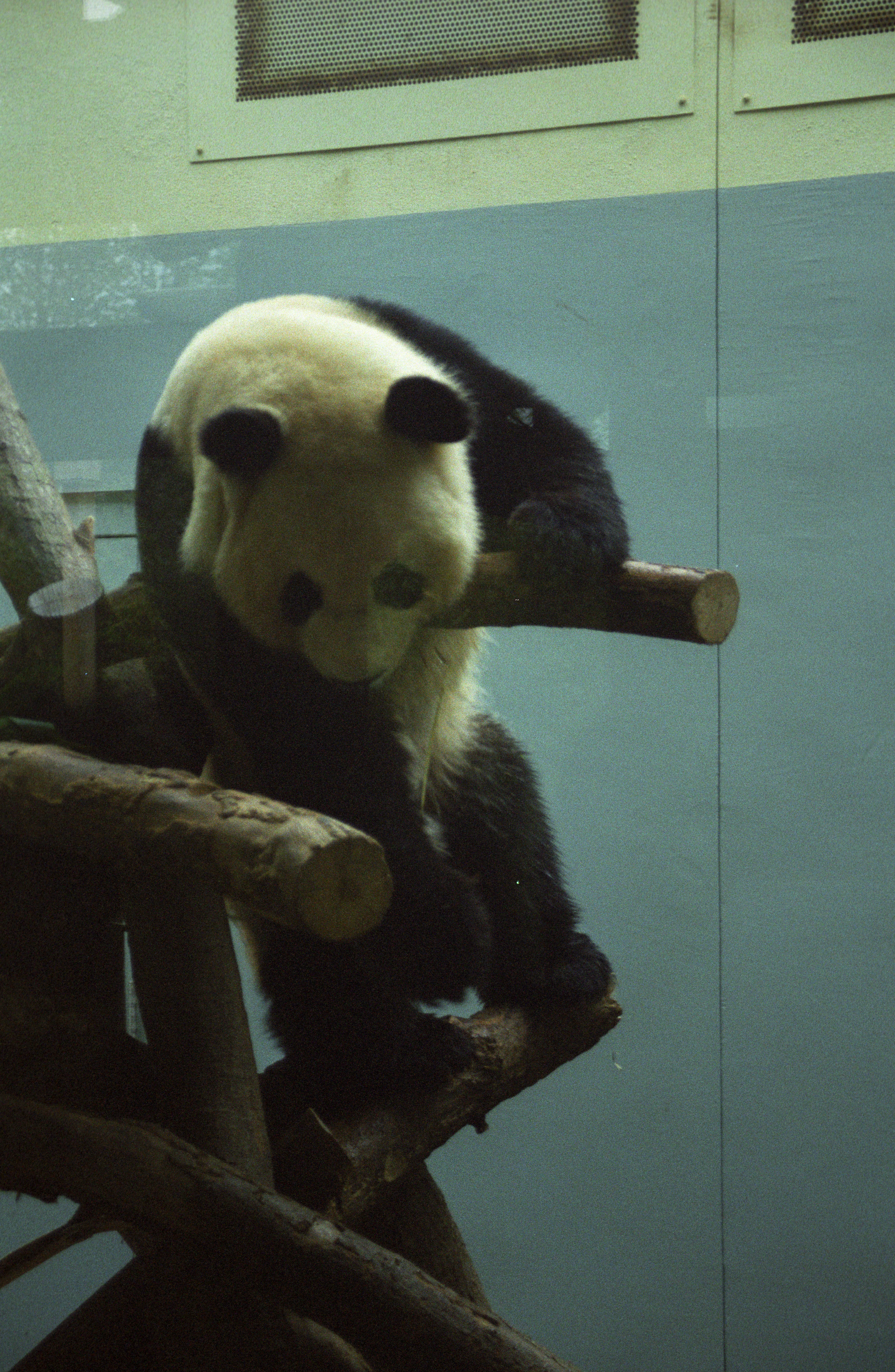 Zoo Atlanta