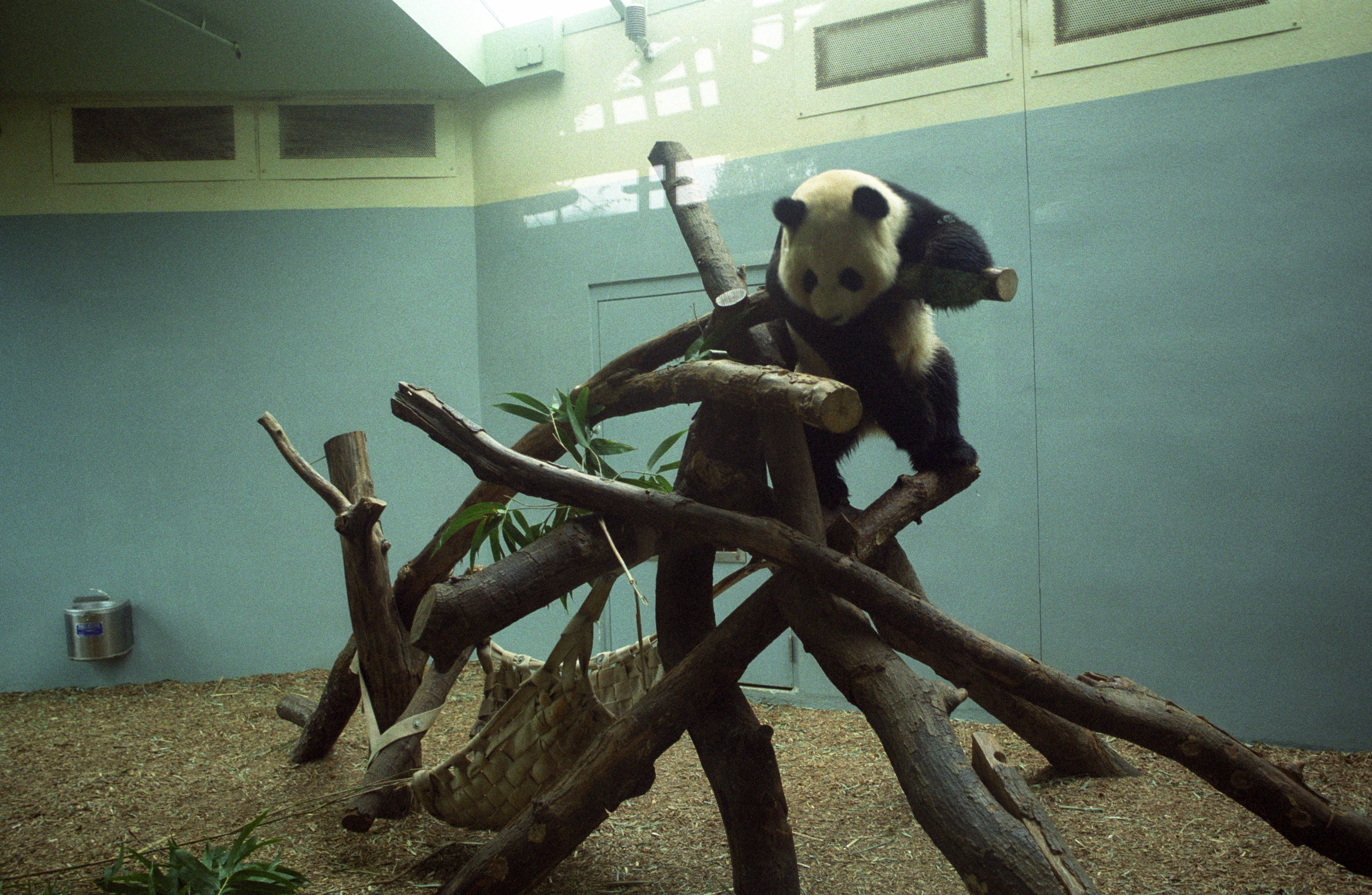 Zoo Atlanta