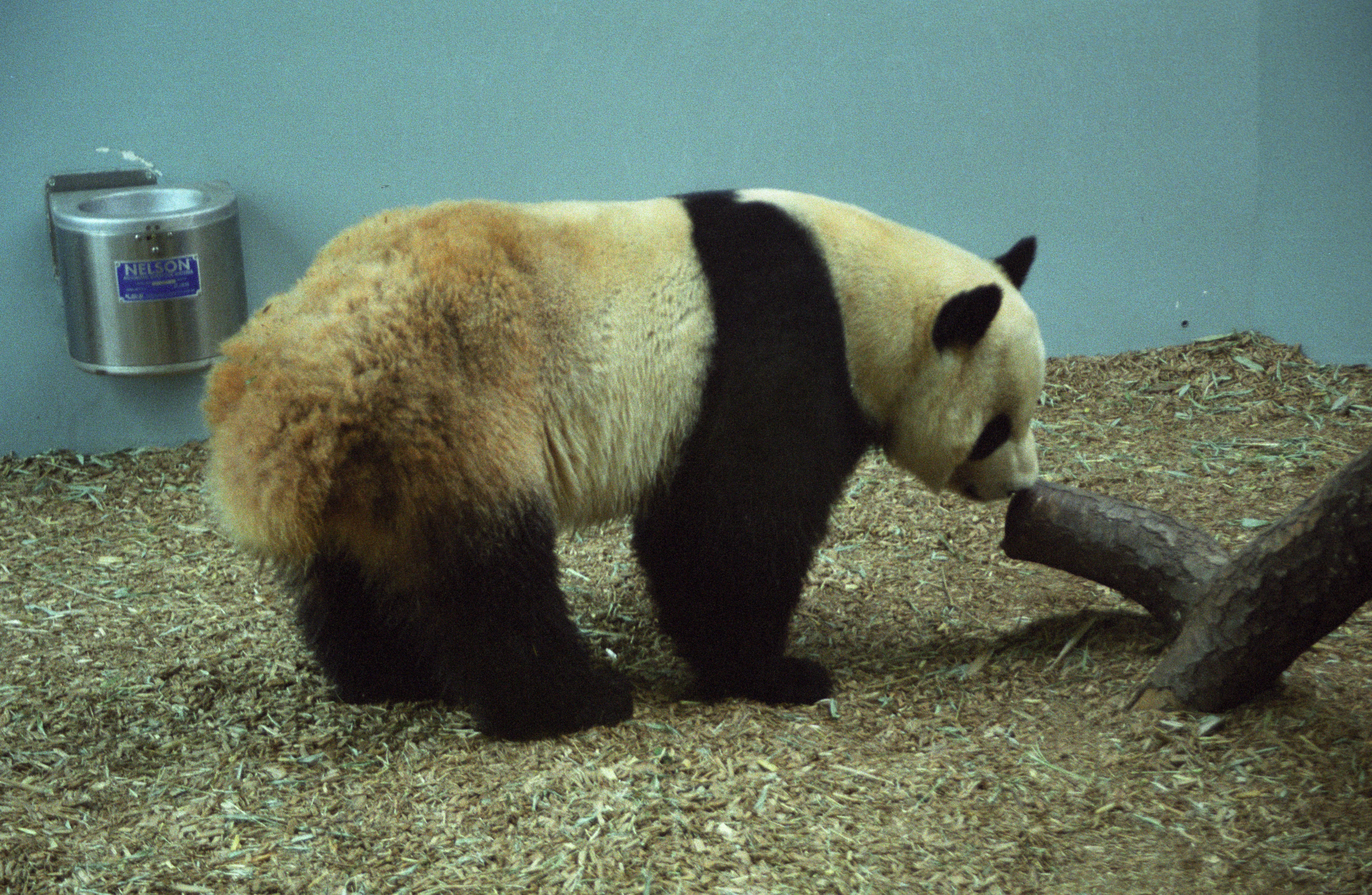 Zoo Atlanta