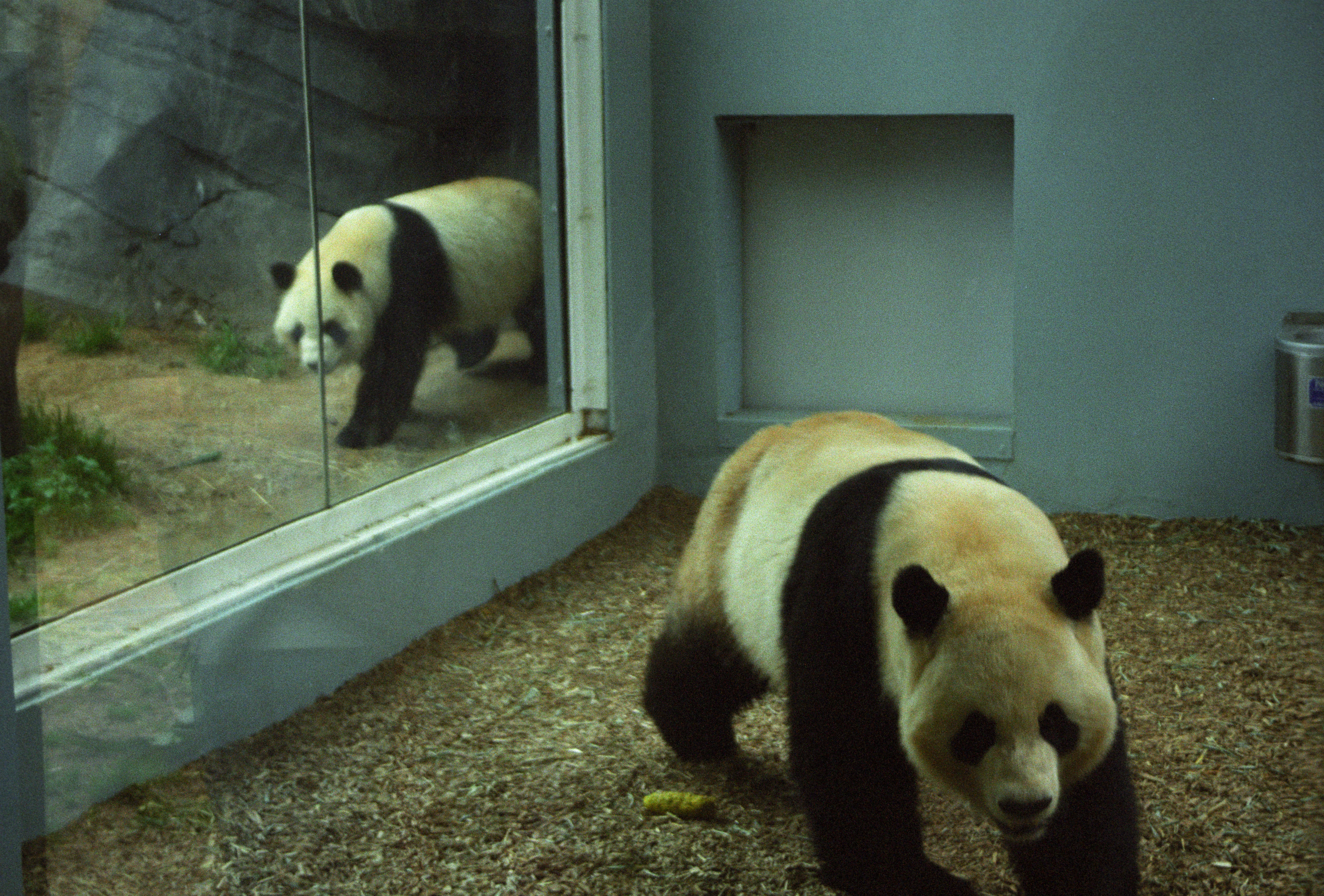 Zoo Atlanta