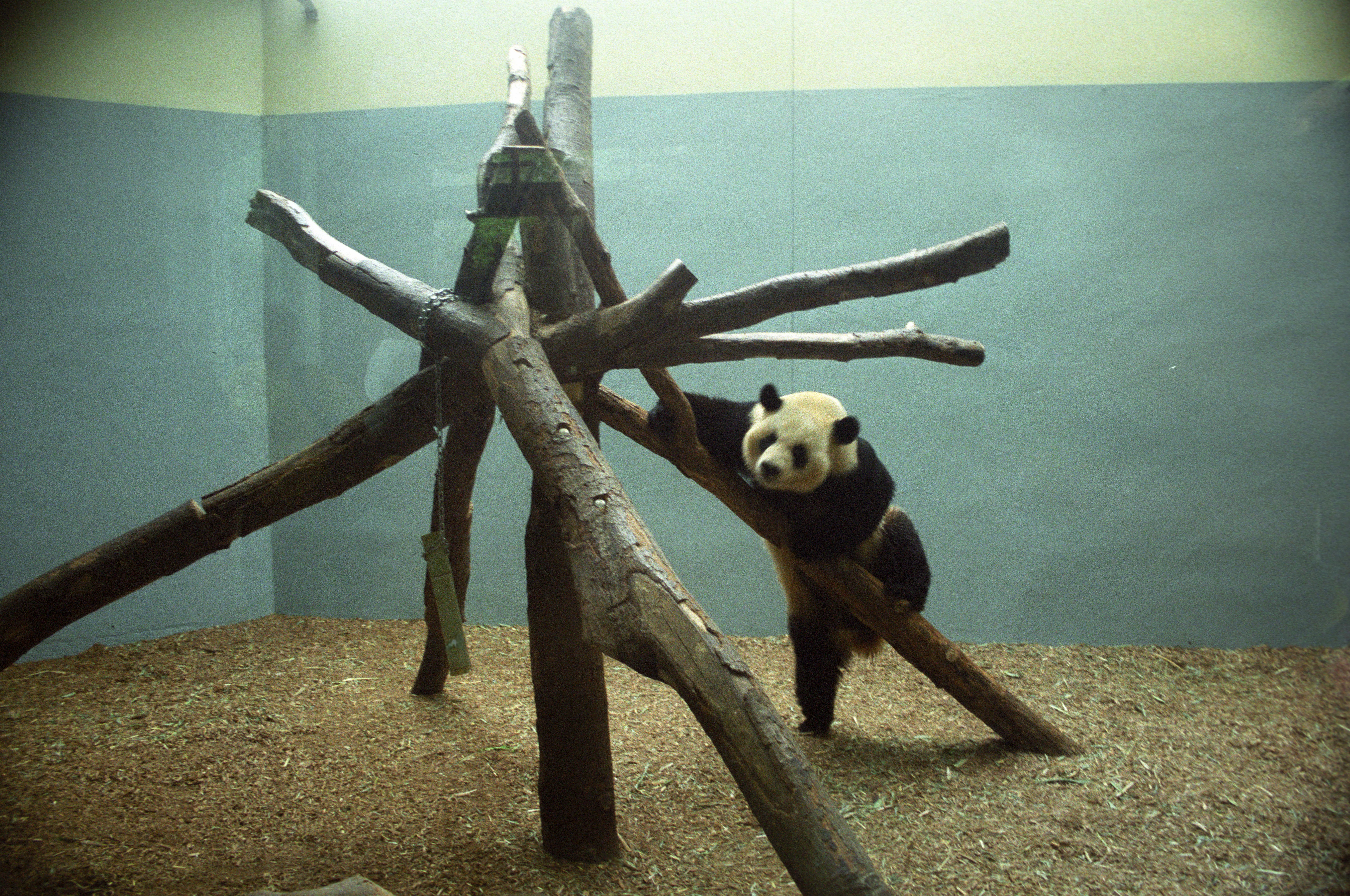 Zoo Atlanta