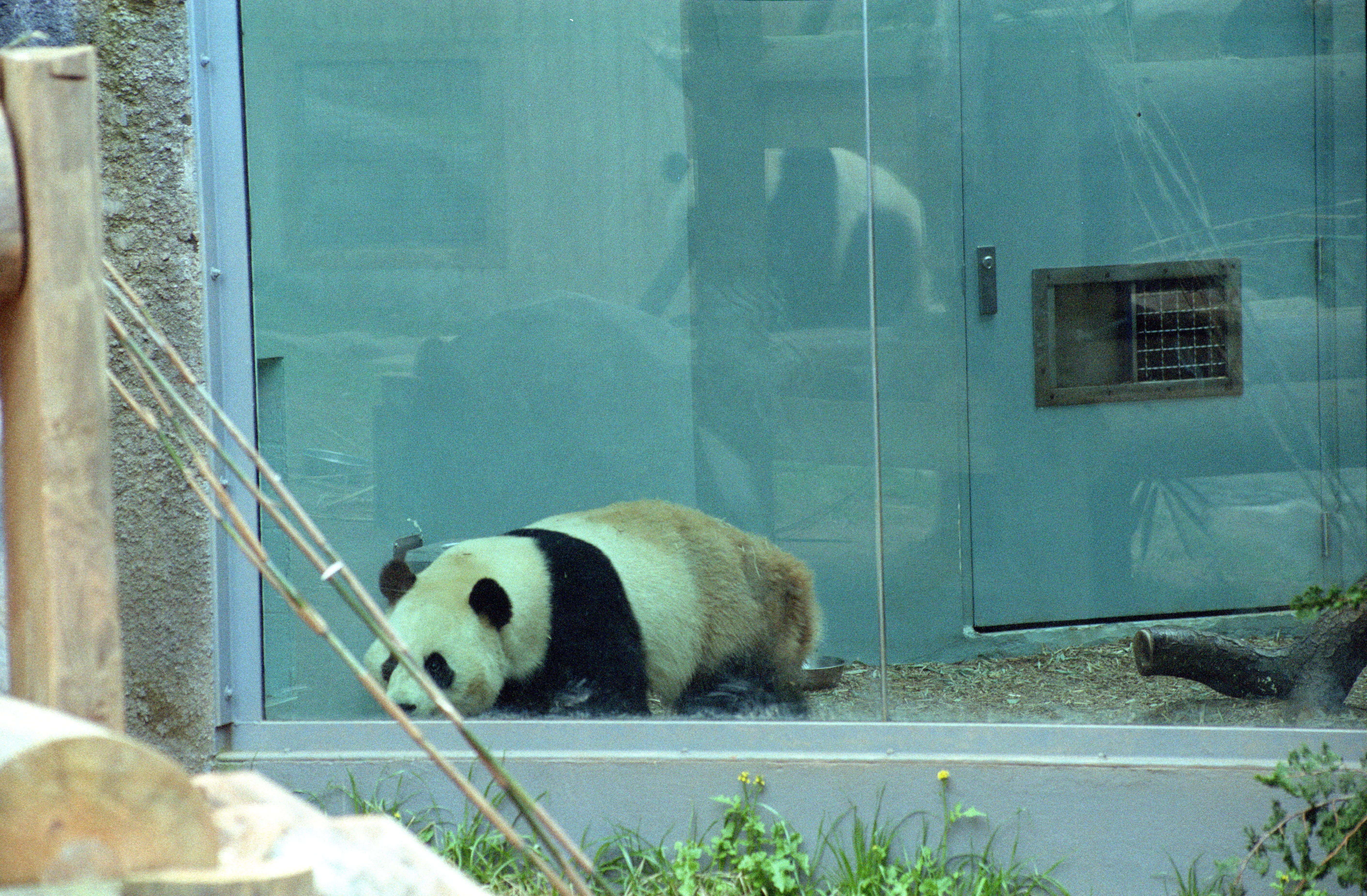 Zoo Atlanta