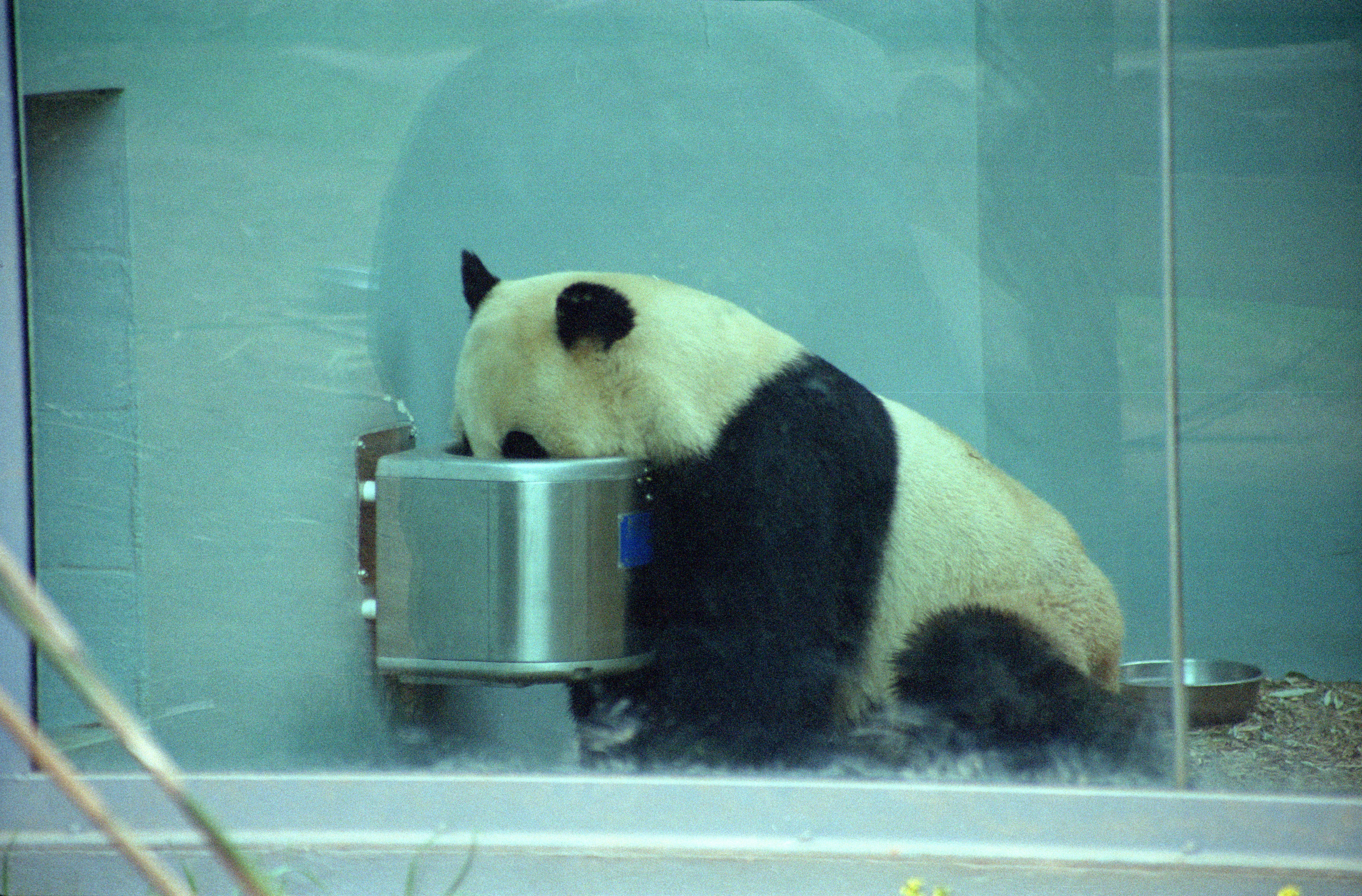 Zoo Atlanta
