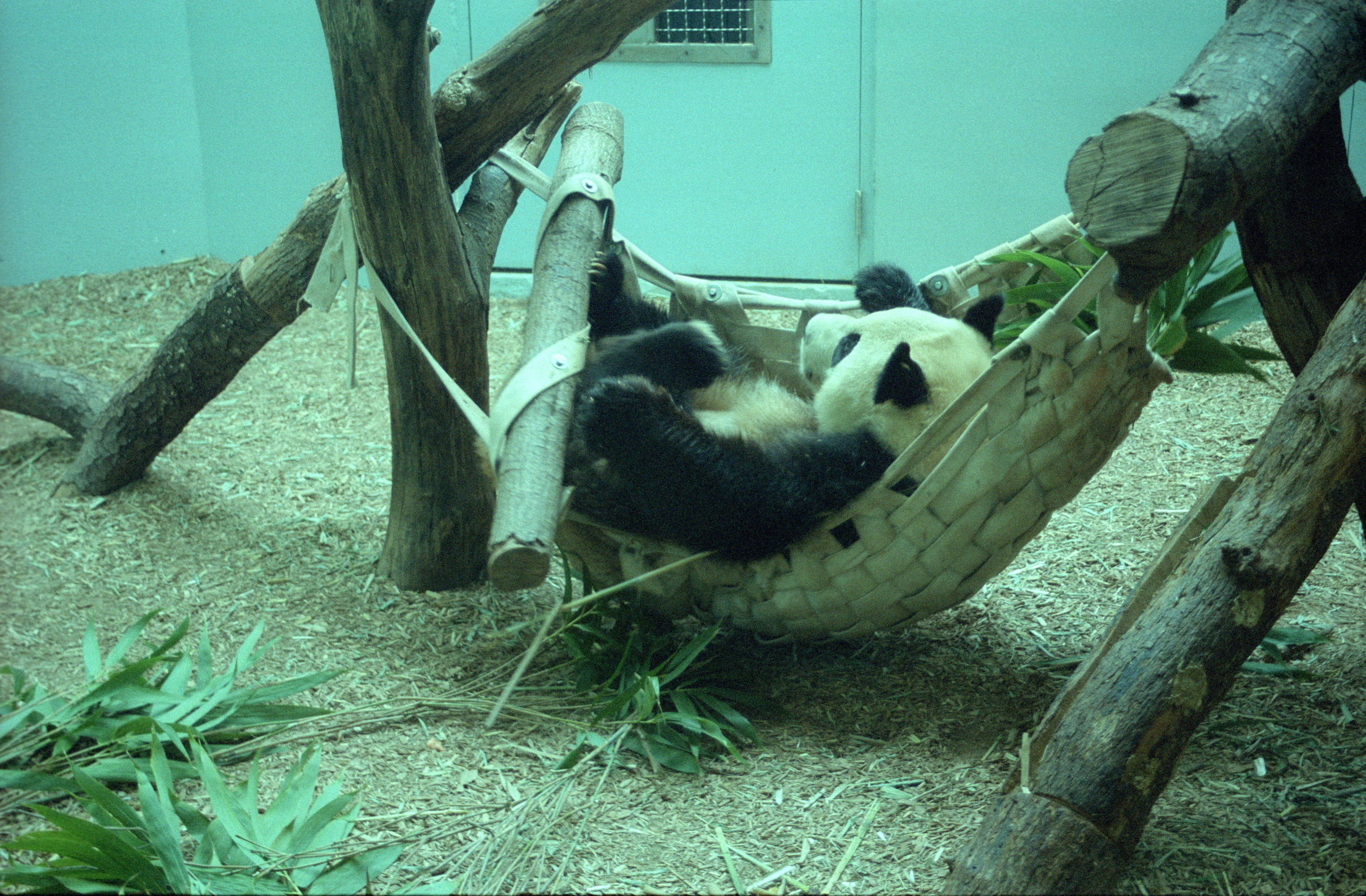 Zoo Atlanta