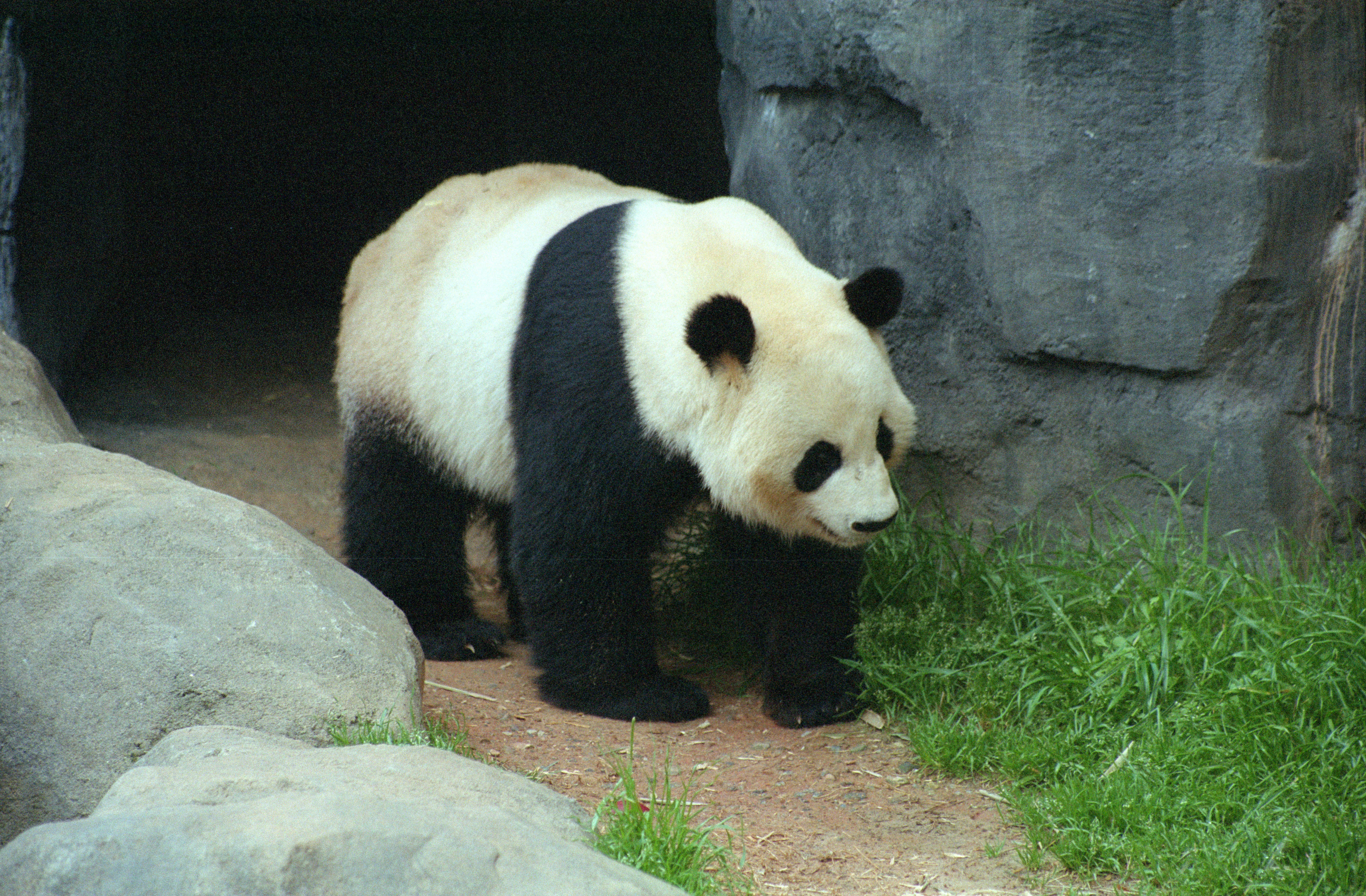 Zoo Atlanta