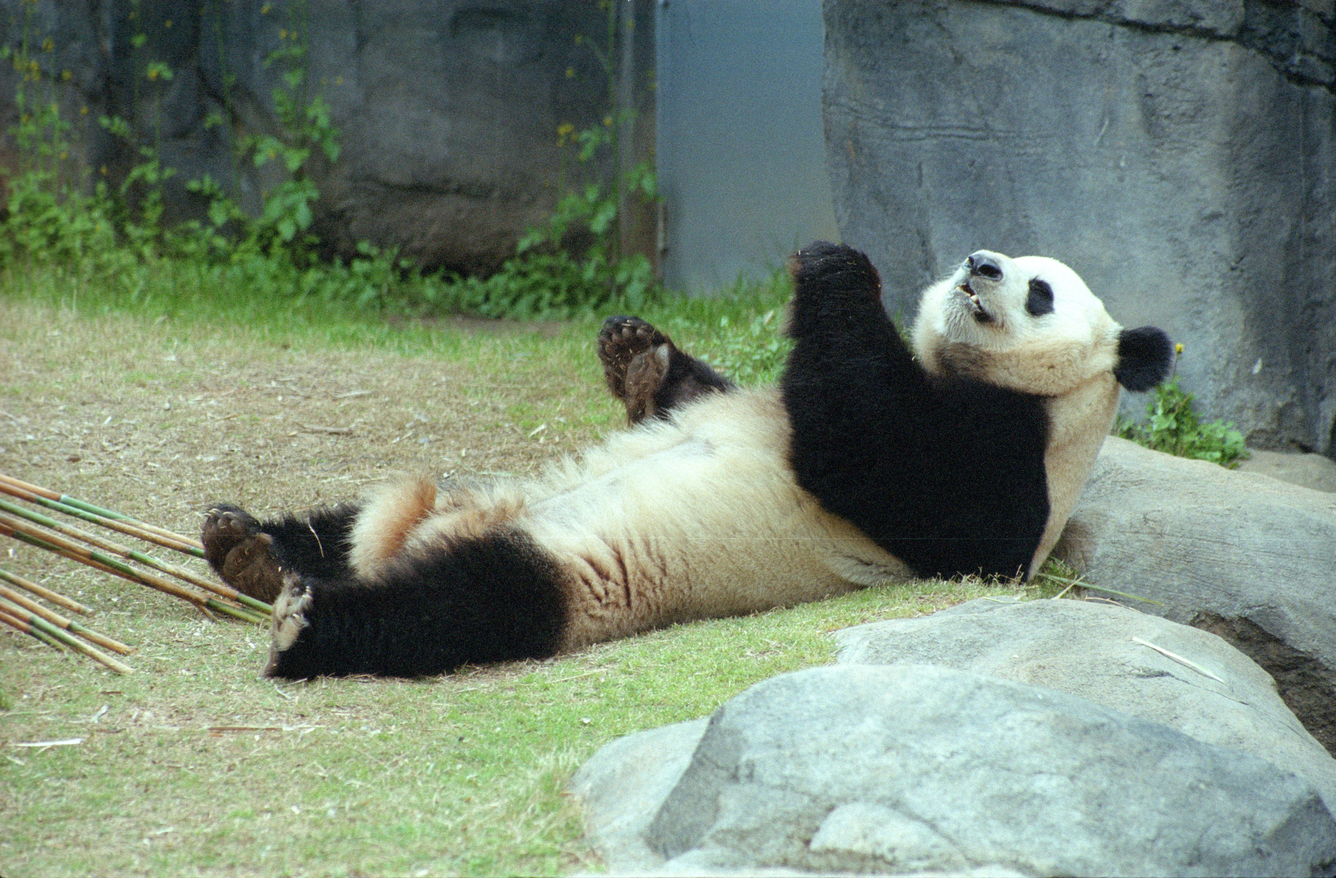 Zoo Atlanta