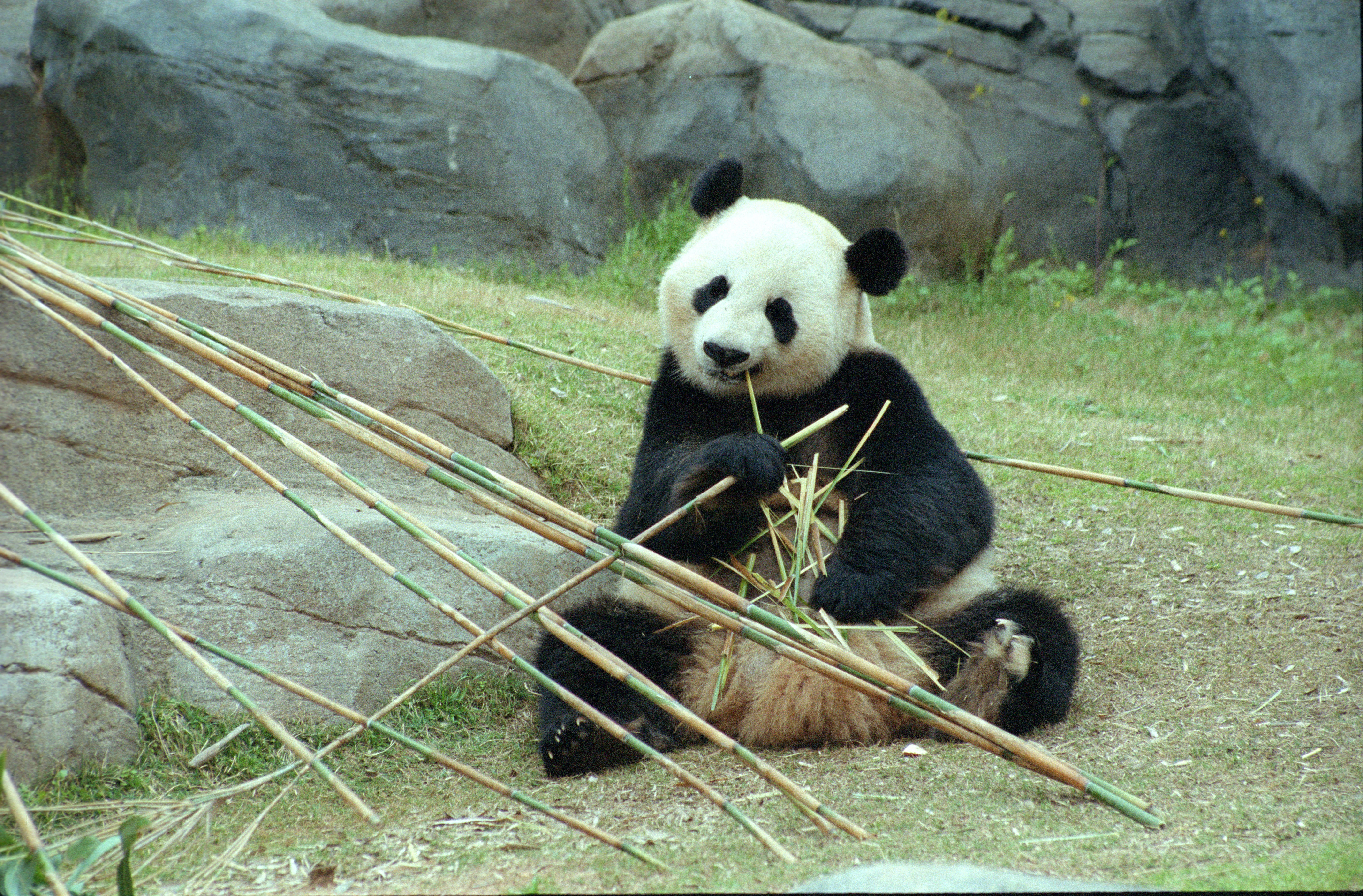 Zoo Atlanta