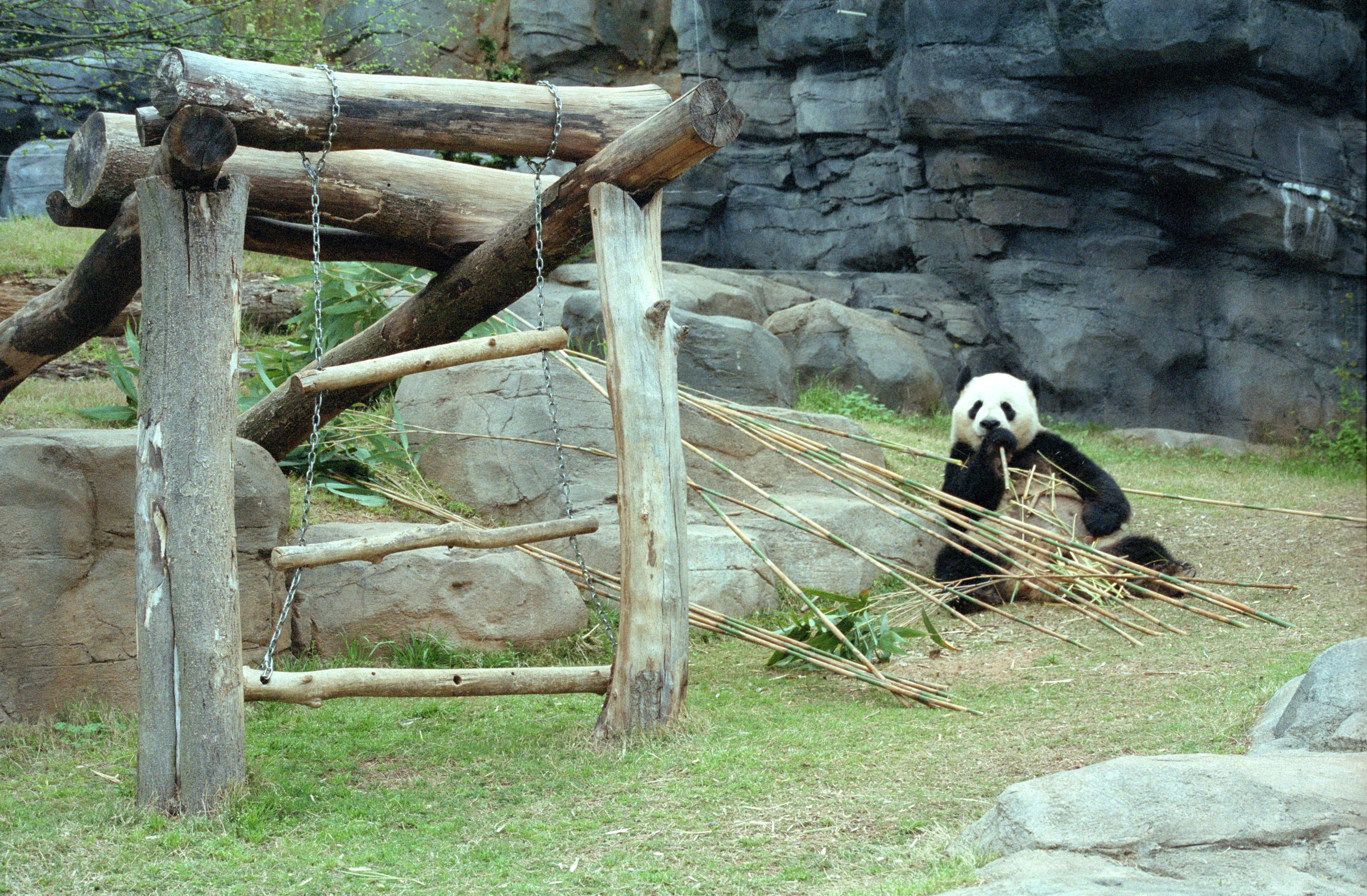 Zoo Atlanta