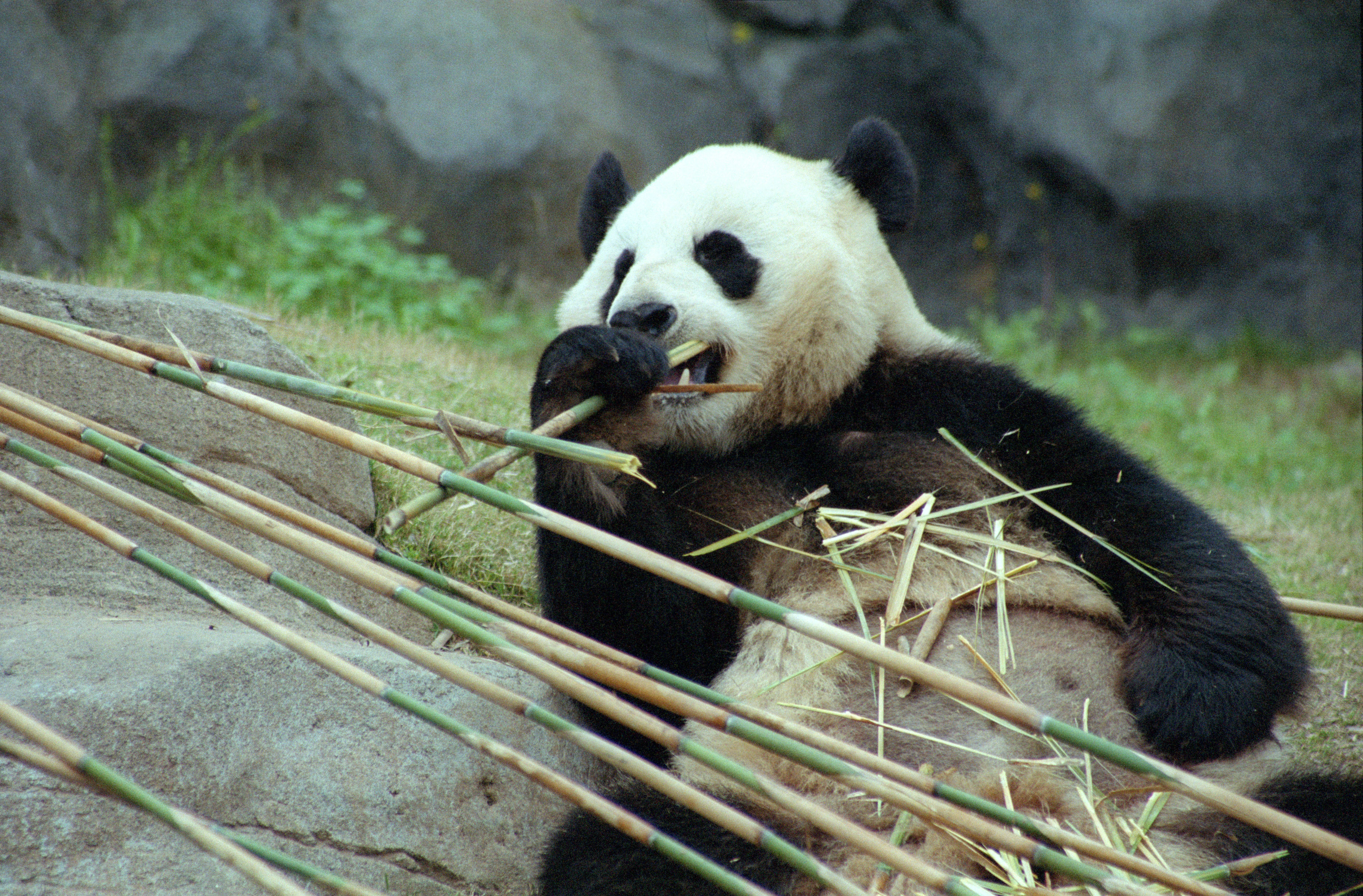 Zoo Atlanta