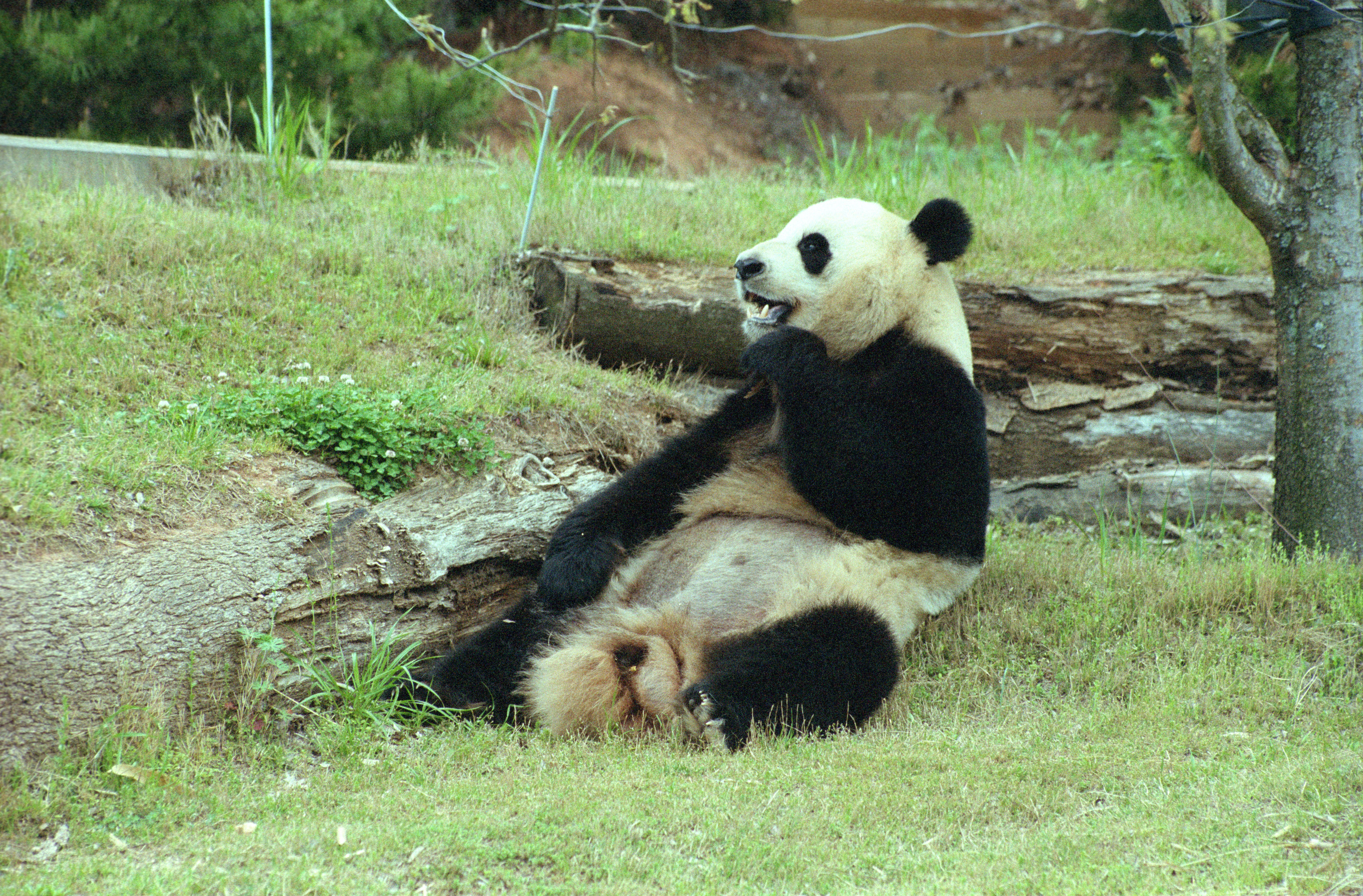 Zoo Atlanta