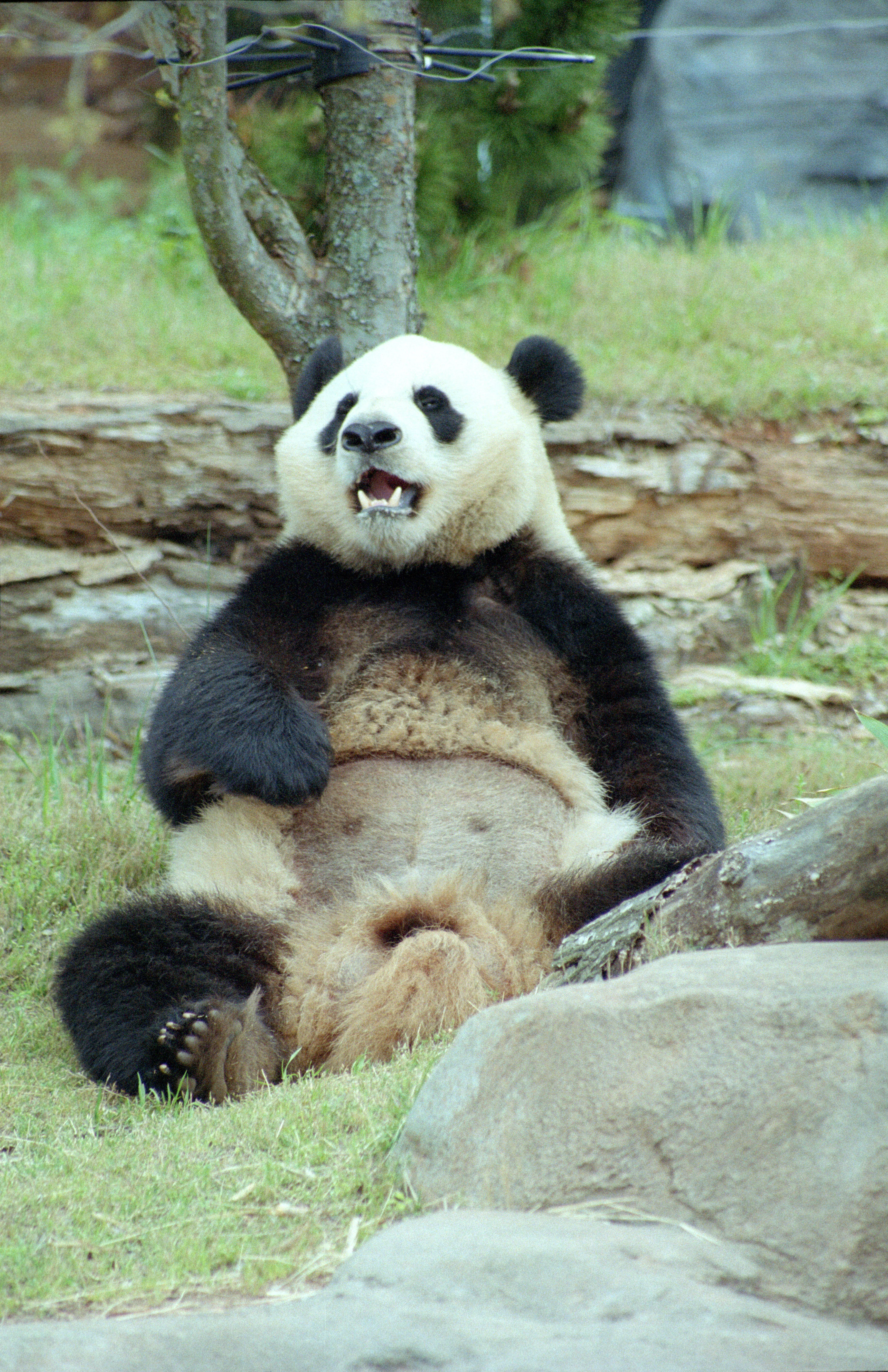Zoo Atlanta