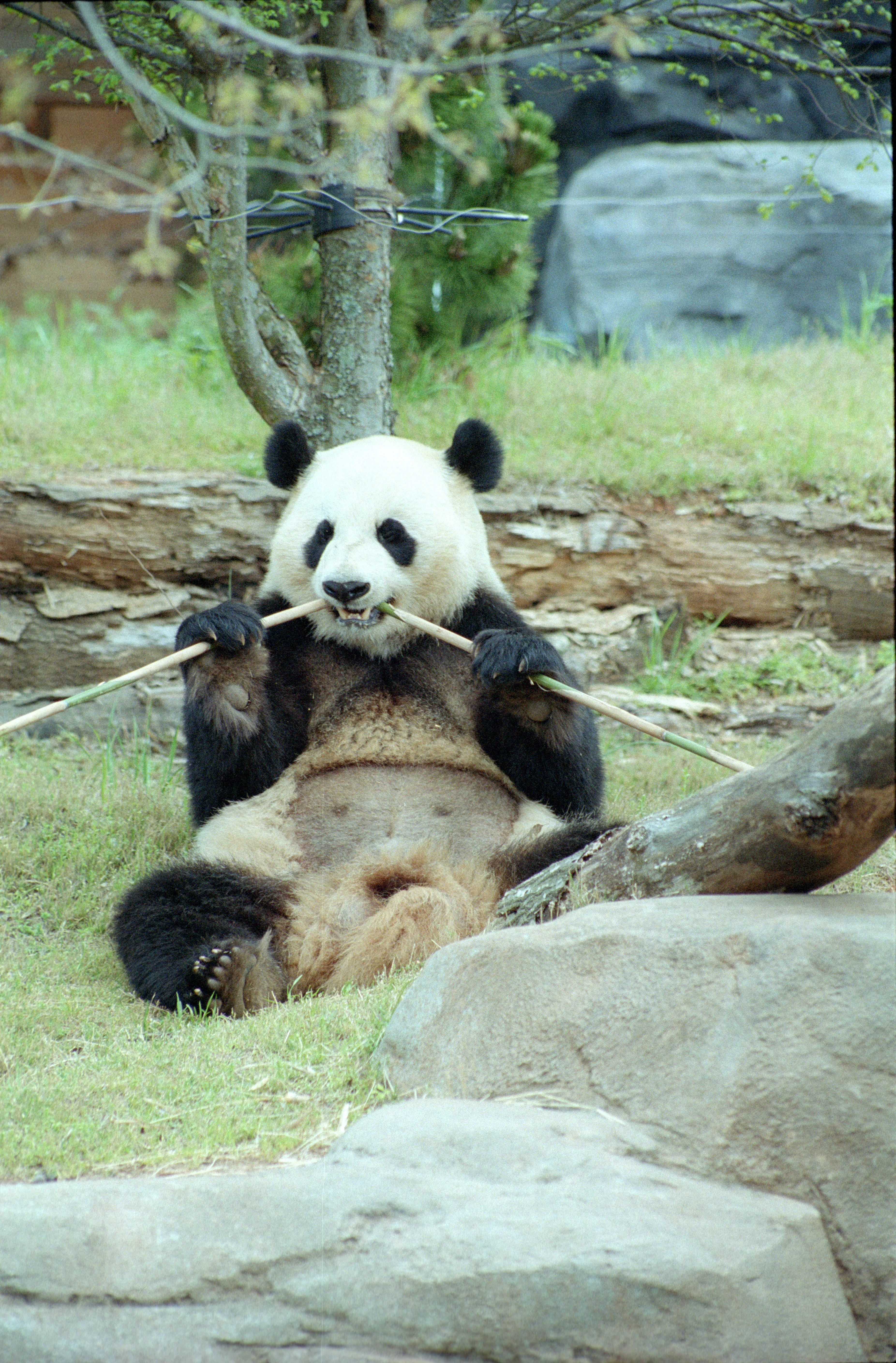 Zoo Atlanta