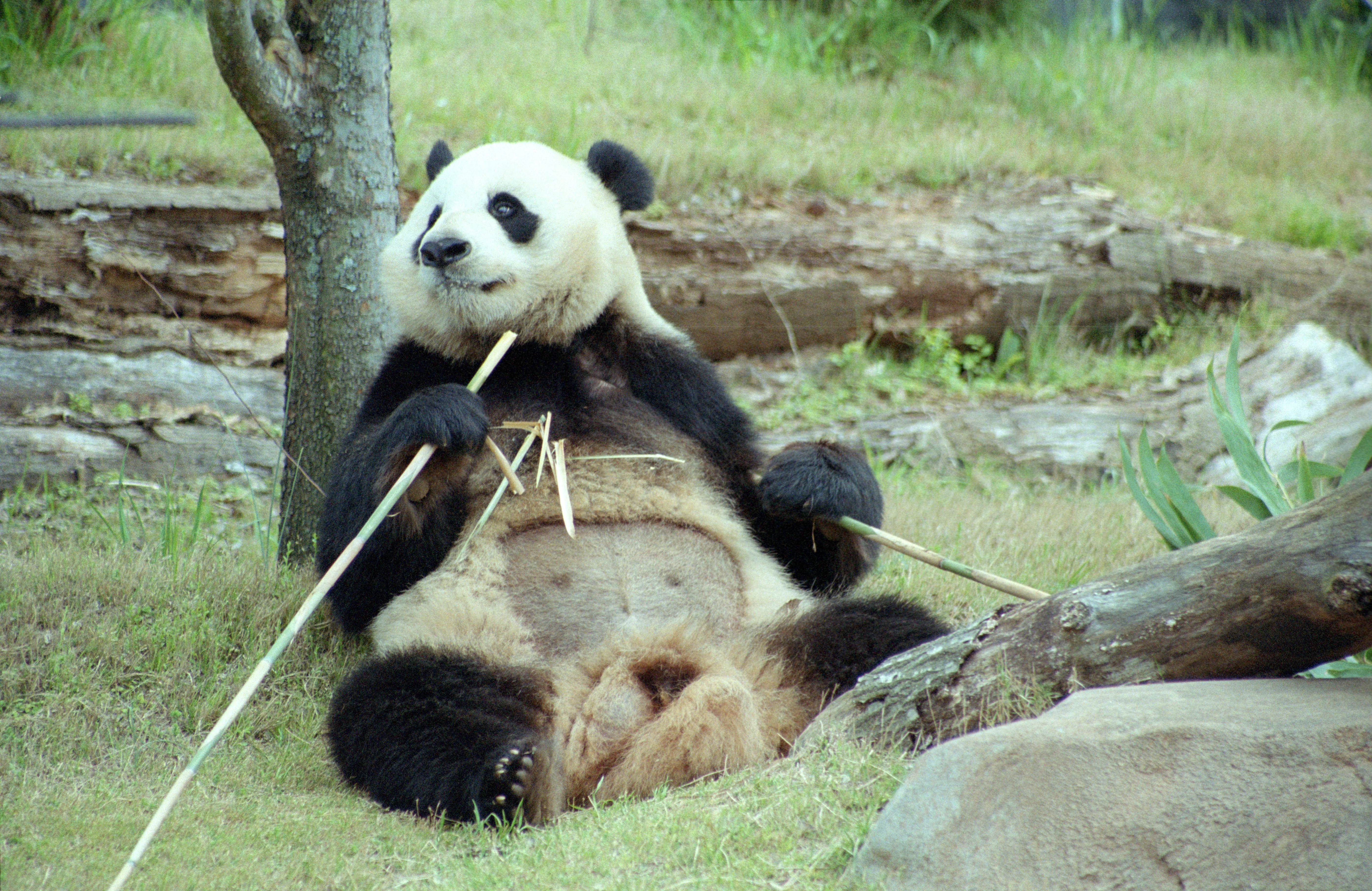 Zoo Atlanta