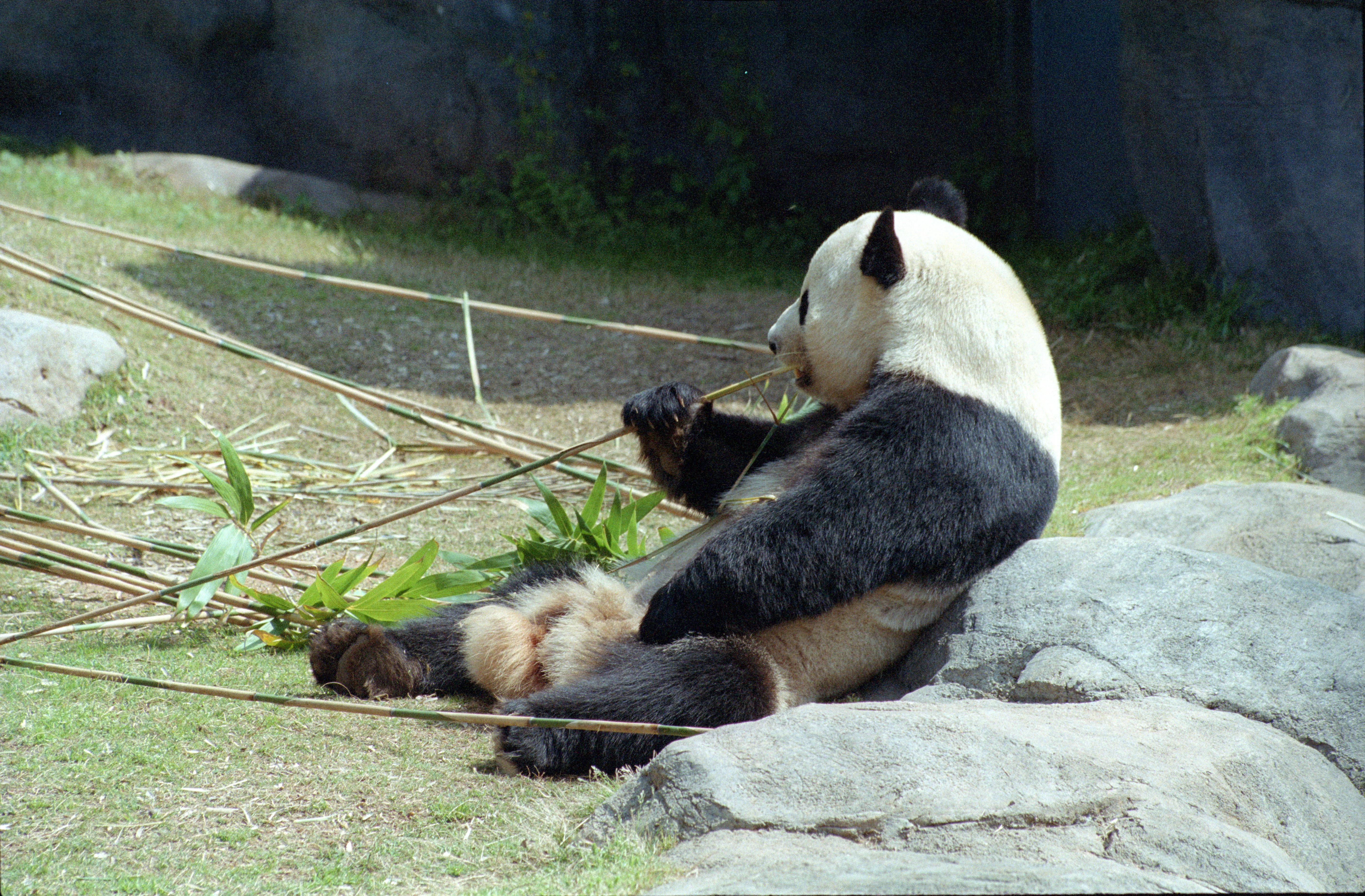 Zoo Atlanta