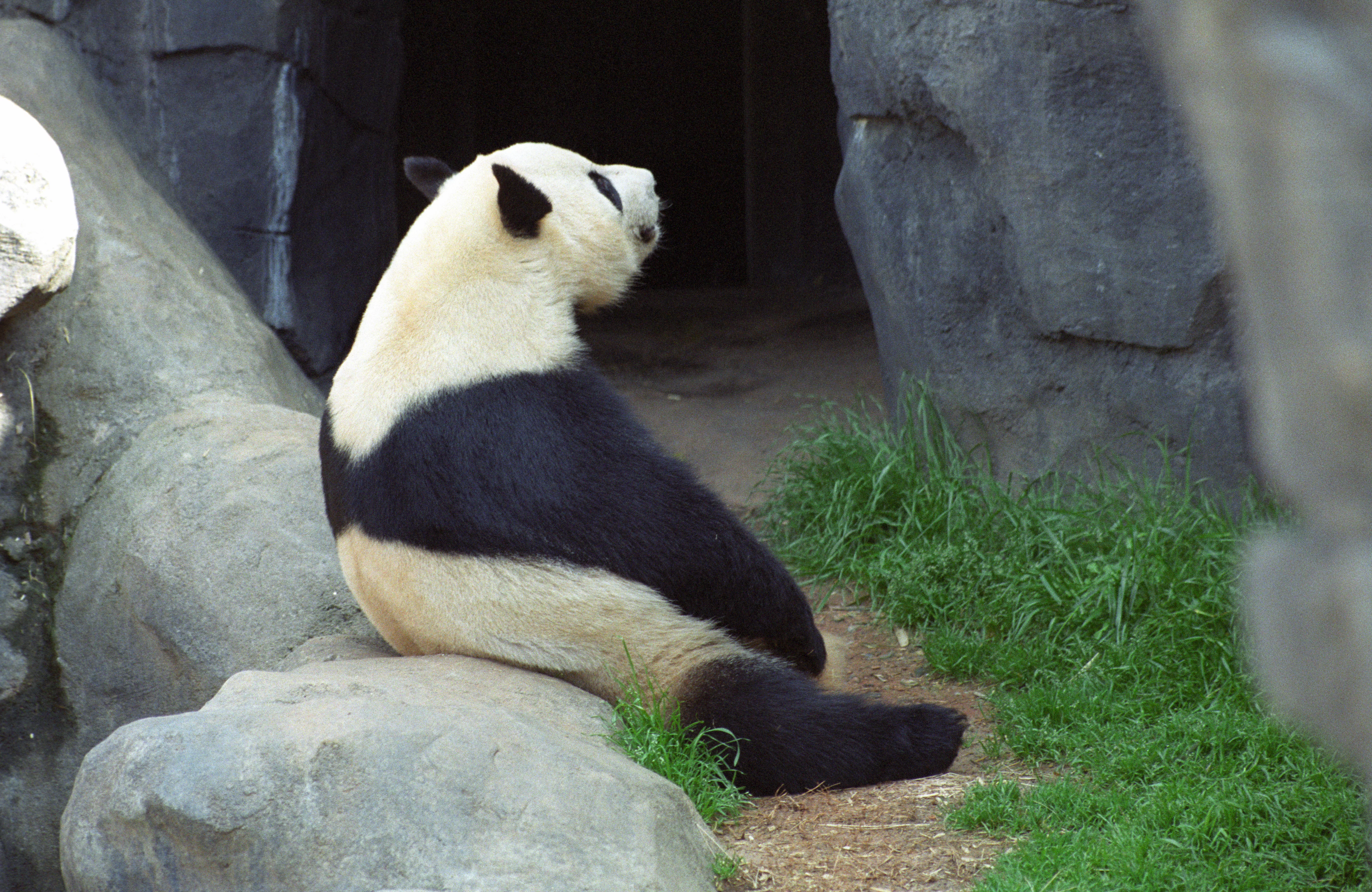 Zoo Atlanta