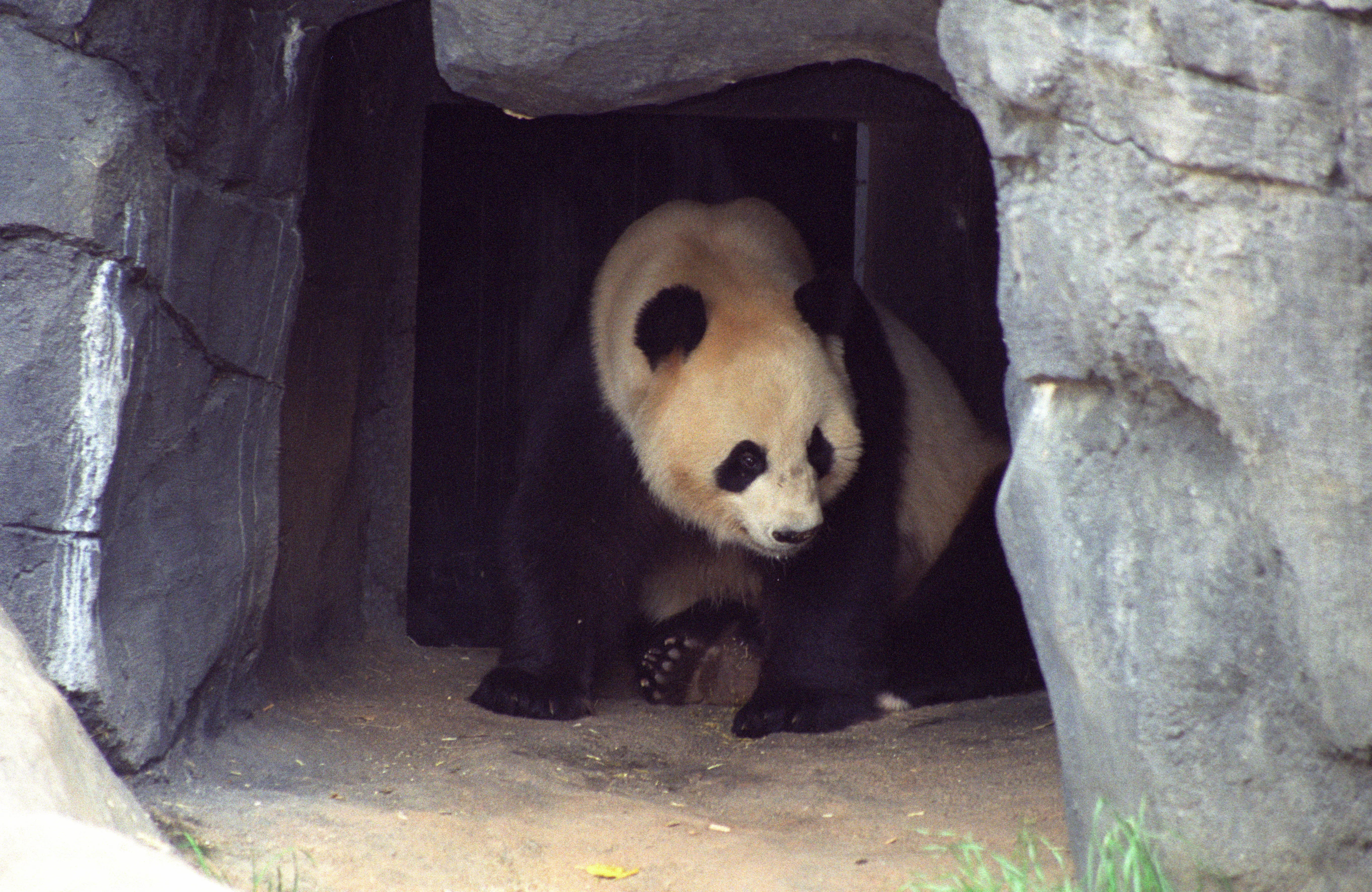 Zoo Atlanta