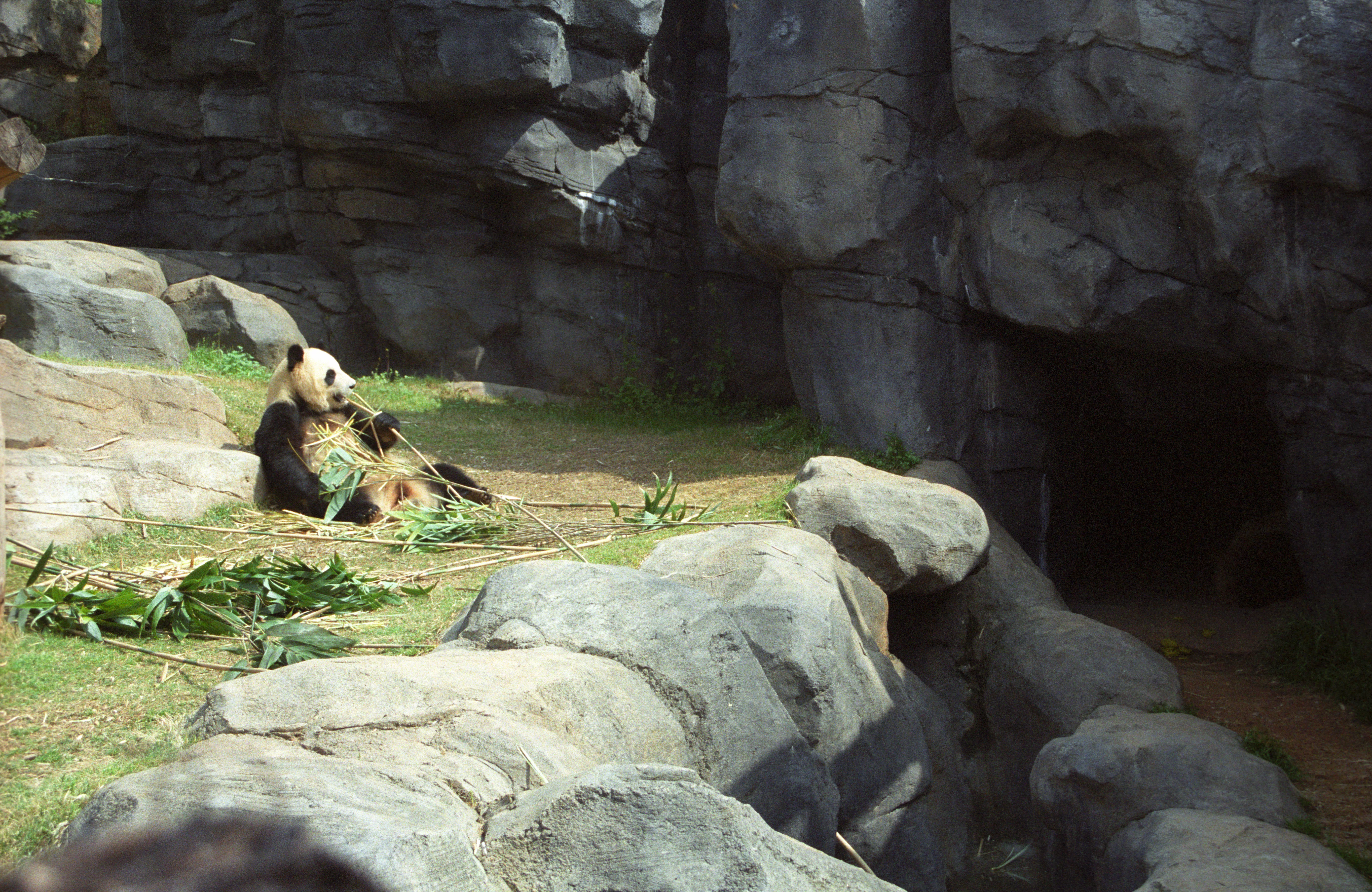 Zoo Atlanta