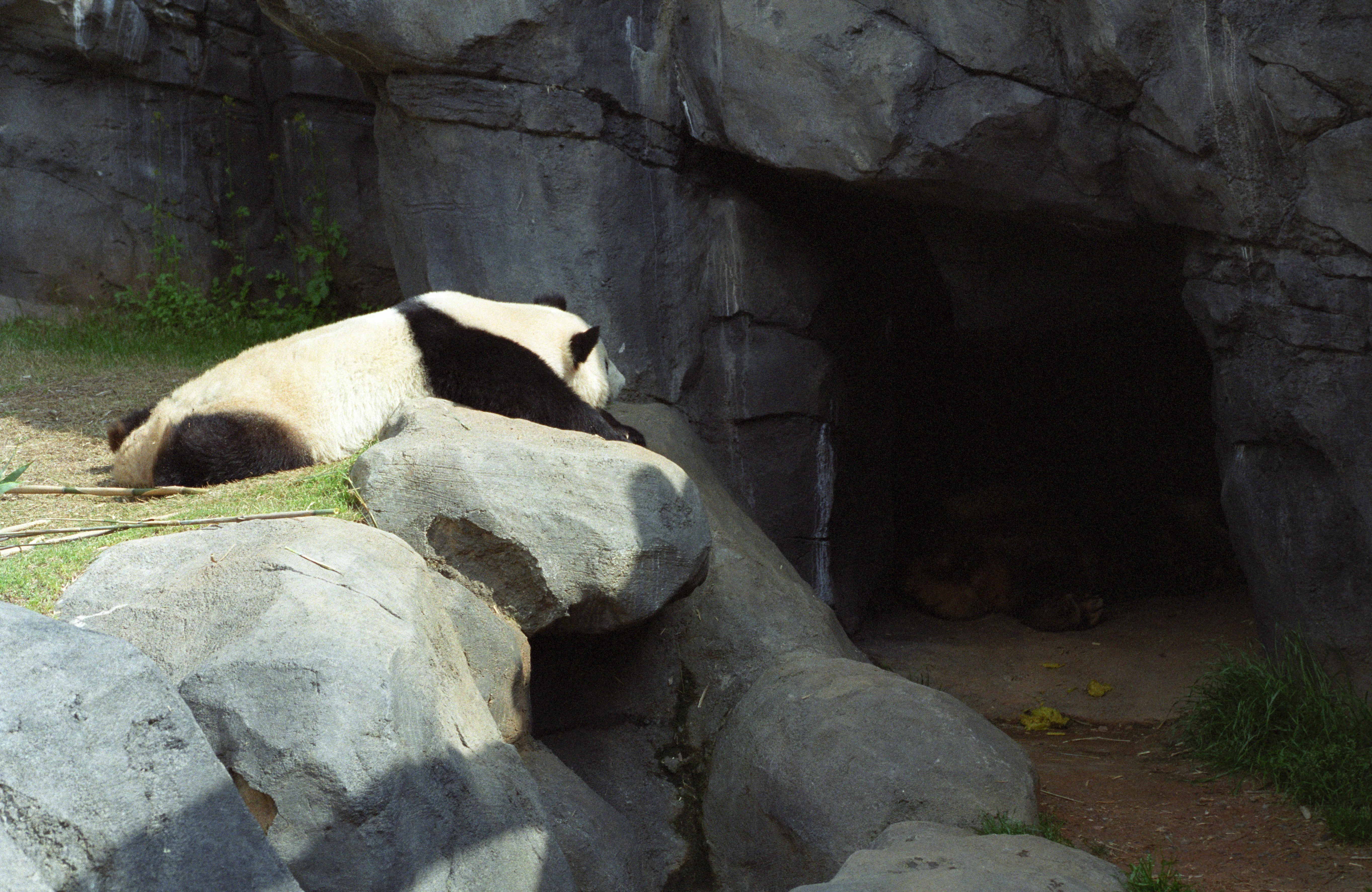 Zoo Atlanta