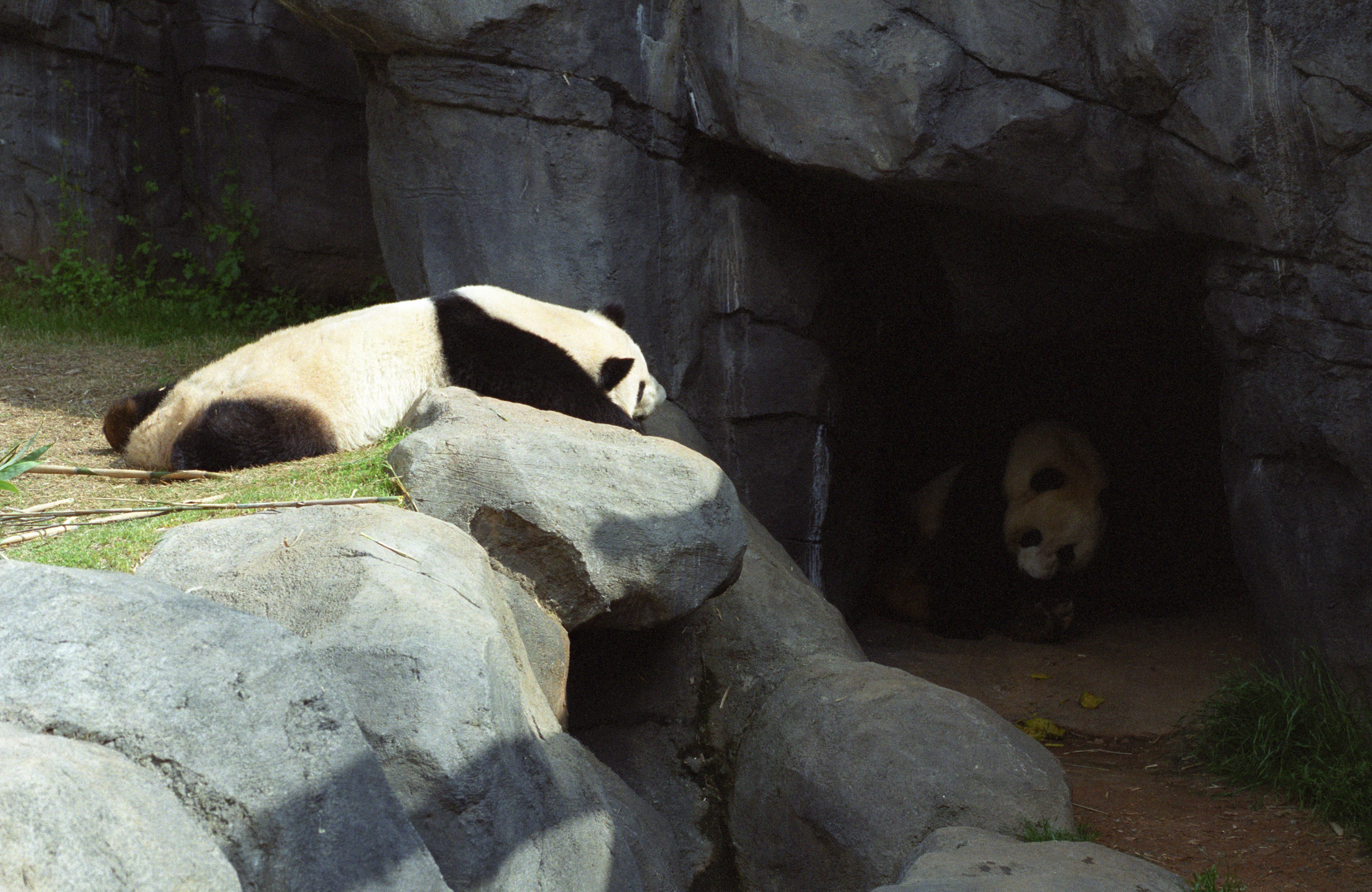 Zoo Atlanta