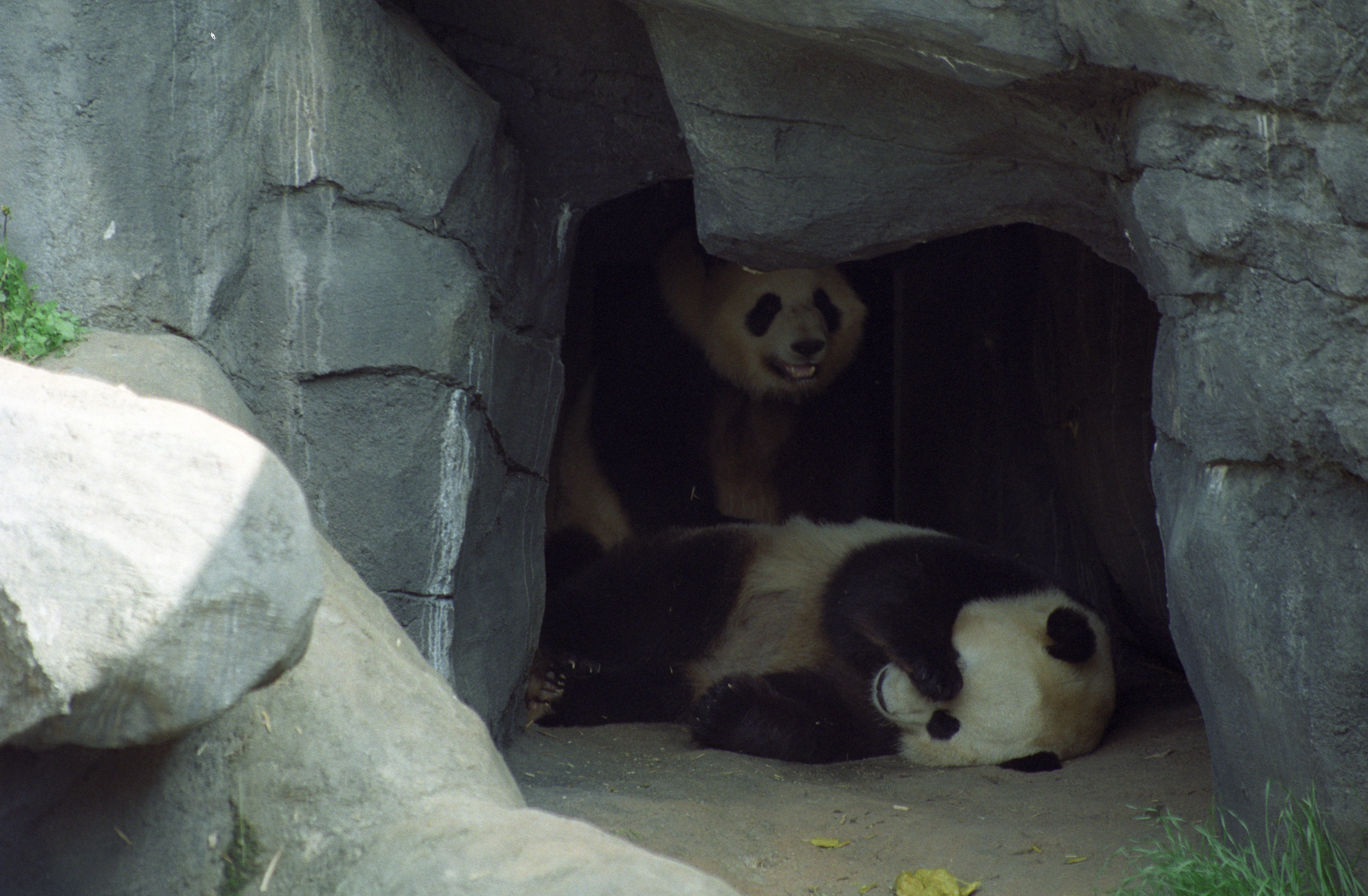 Zoo Atlanta