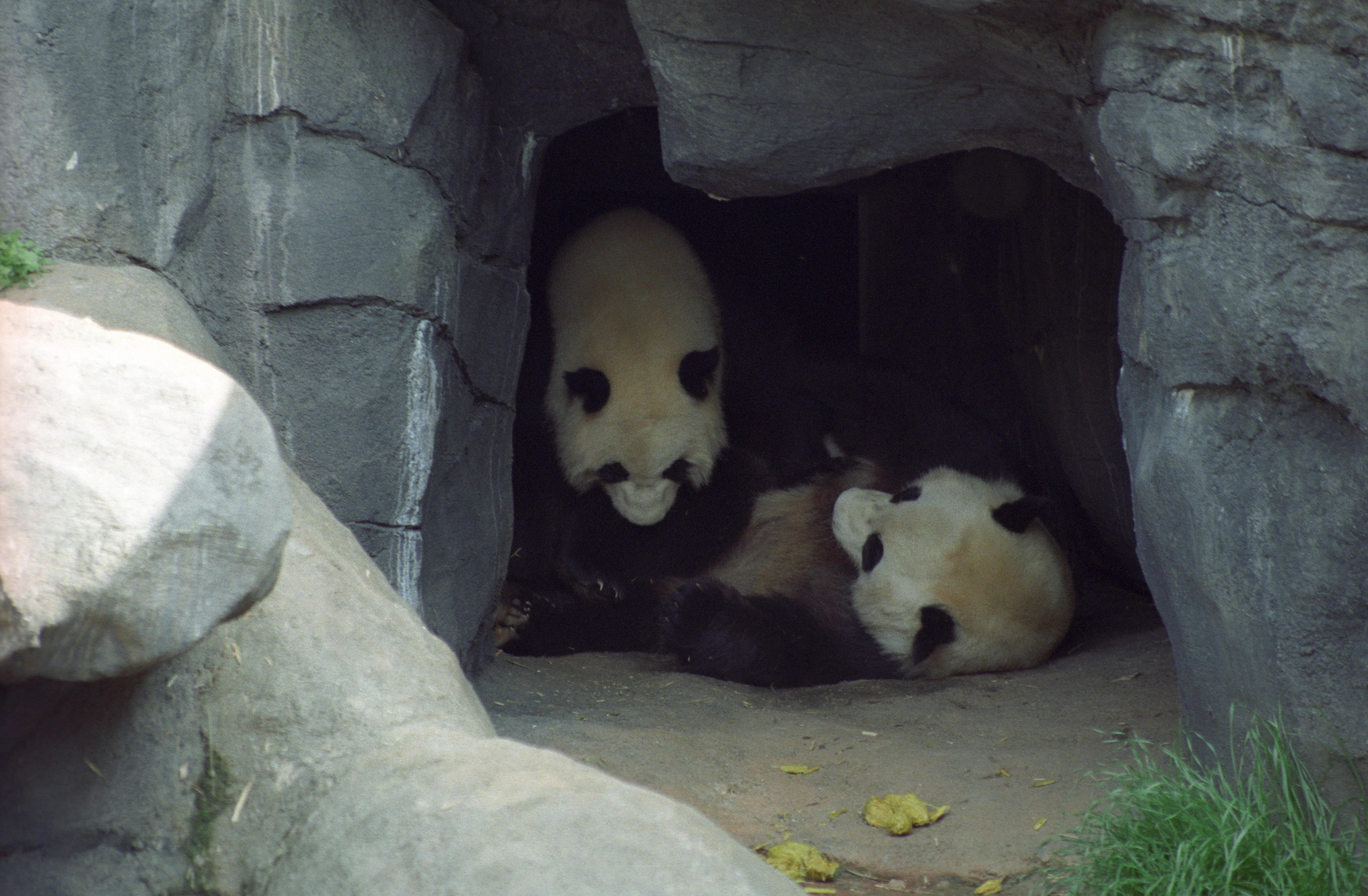 Zoo Atlanta