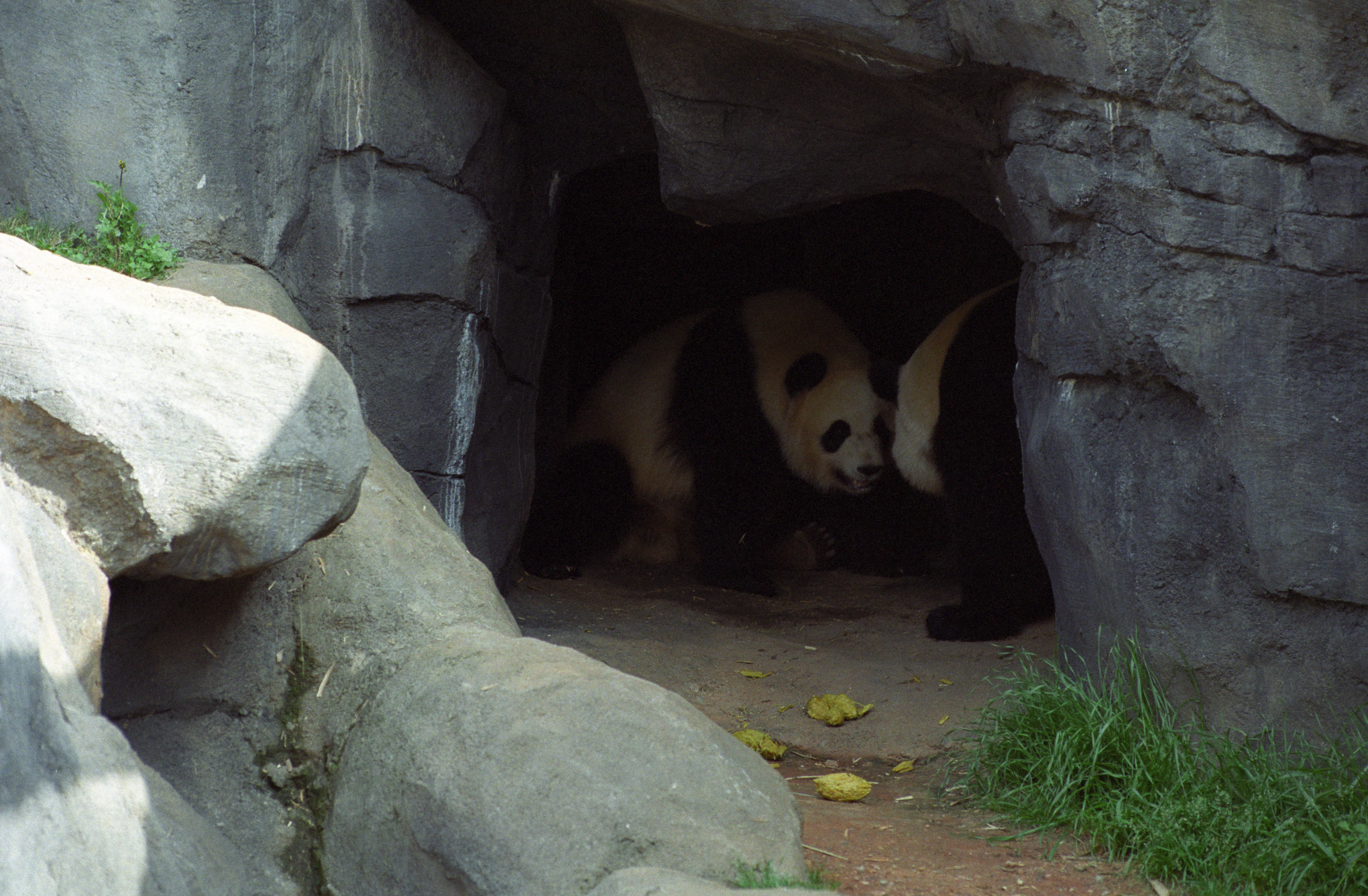 Zoo Atlanta
