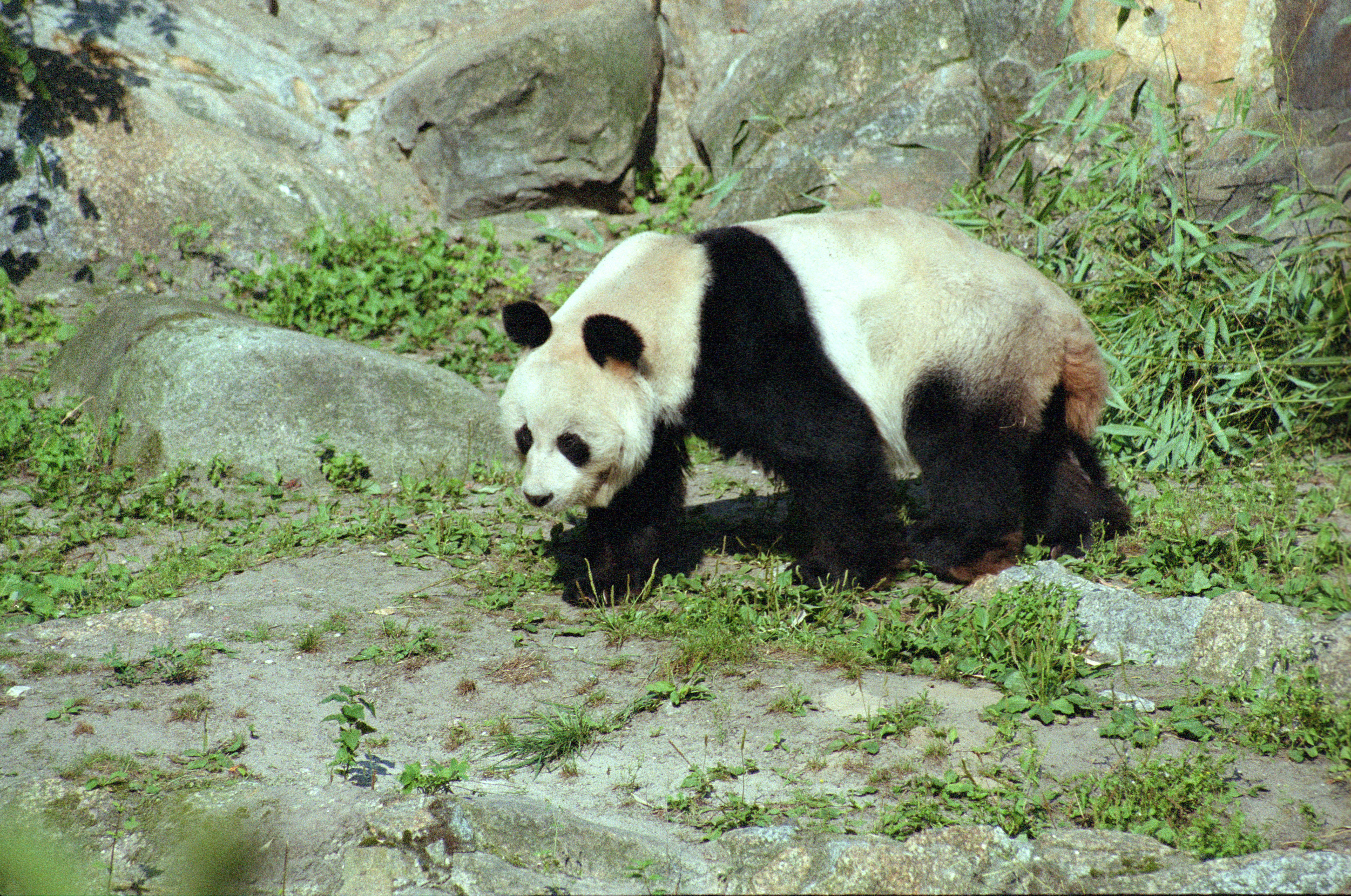 Zoo Berlin