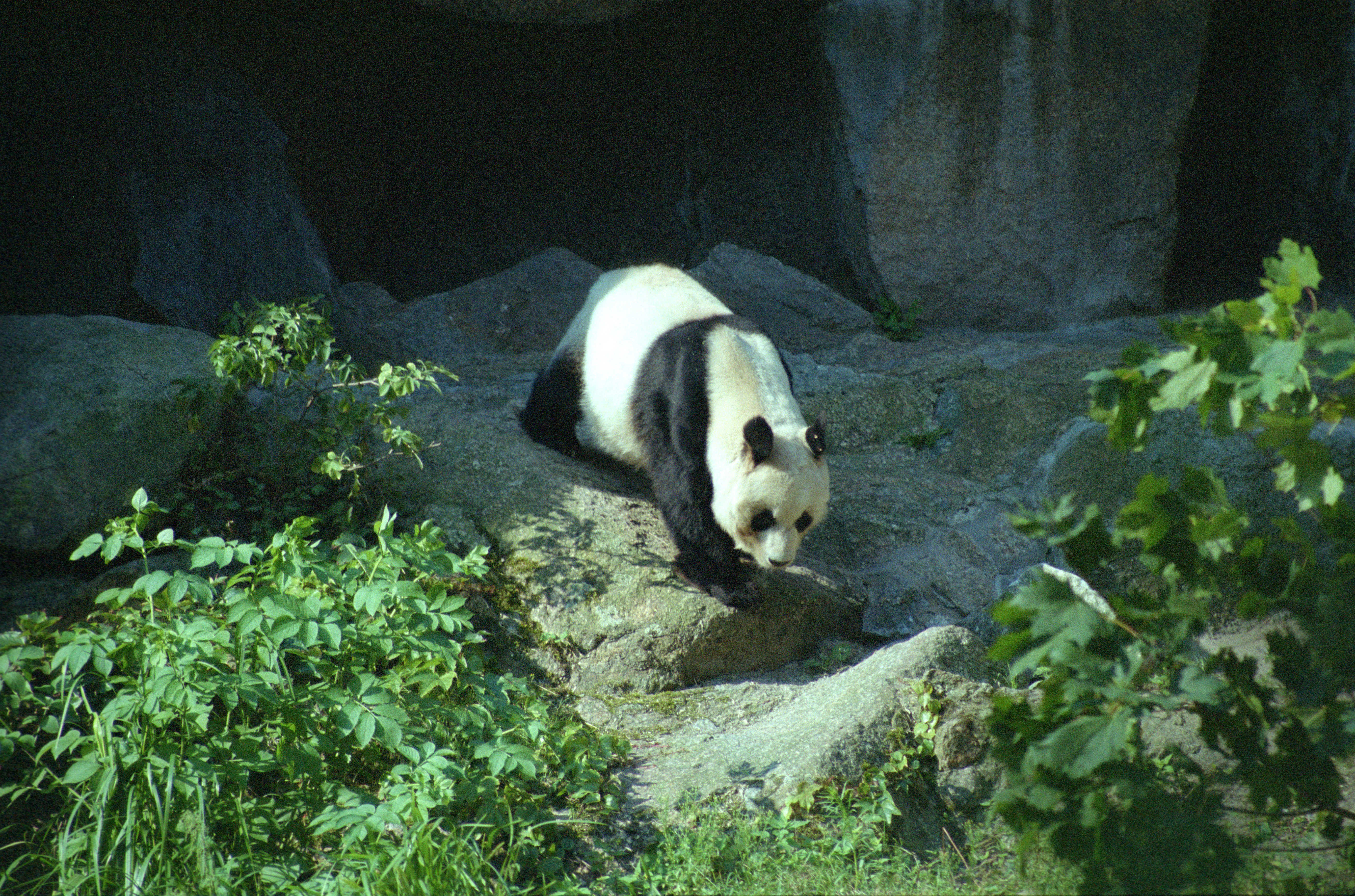 Zoo Berlin