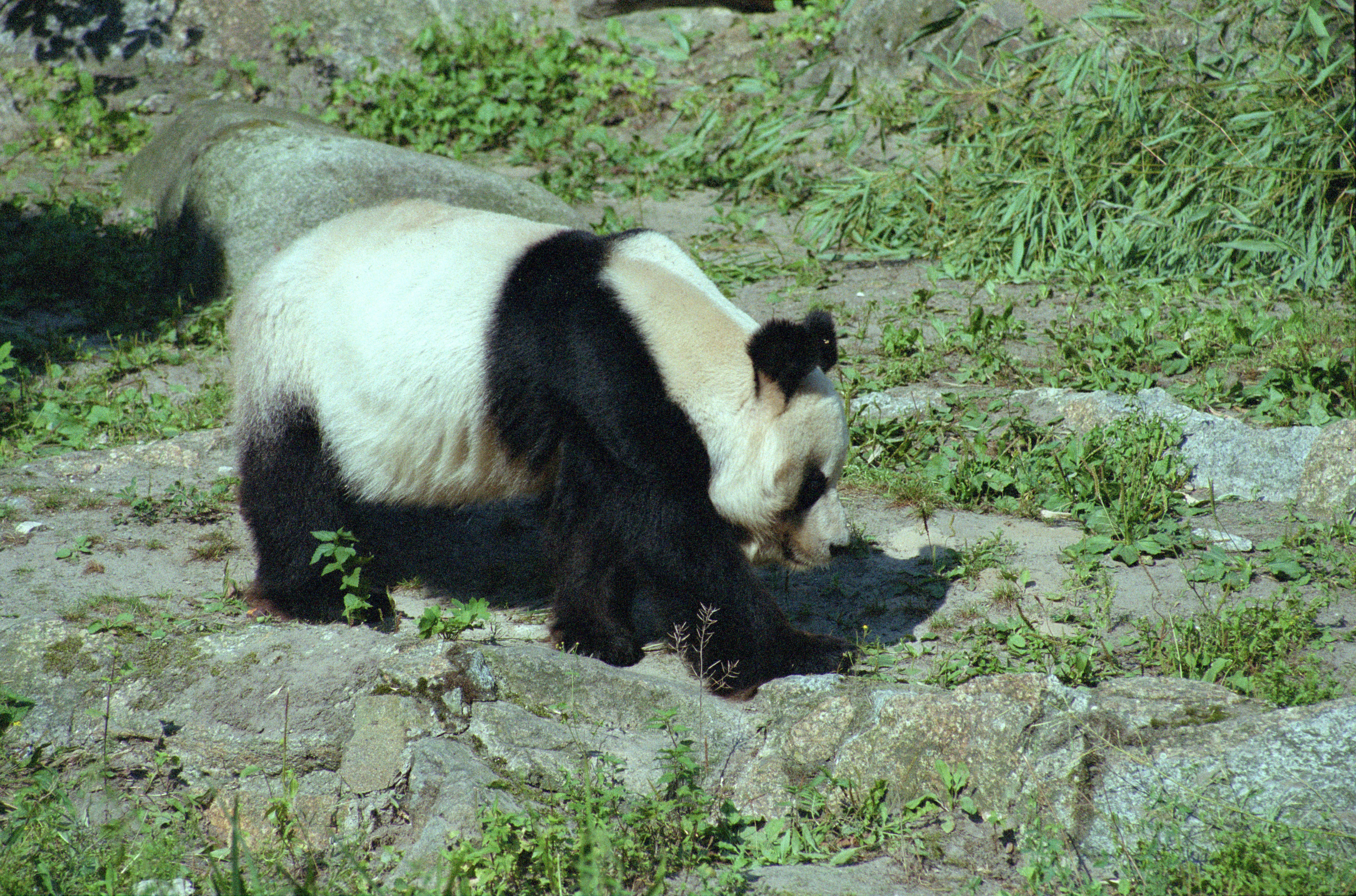 Zoo Berlin