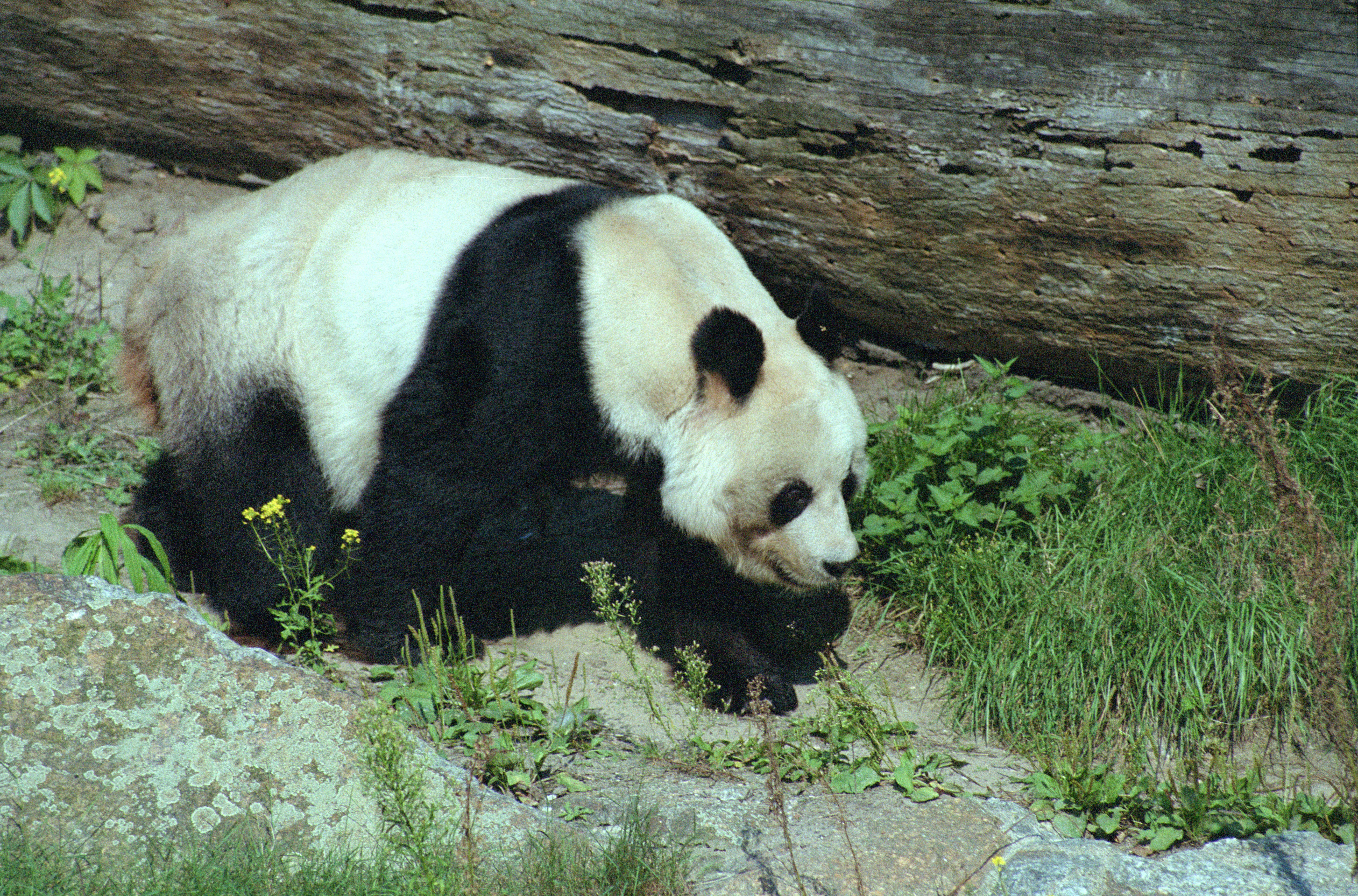 Zoo Berlin