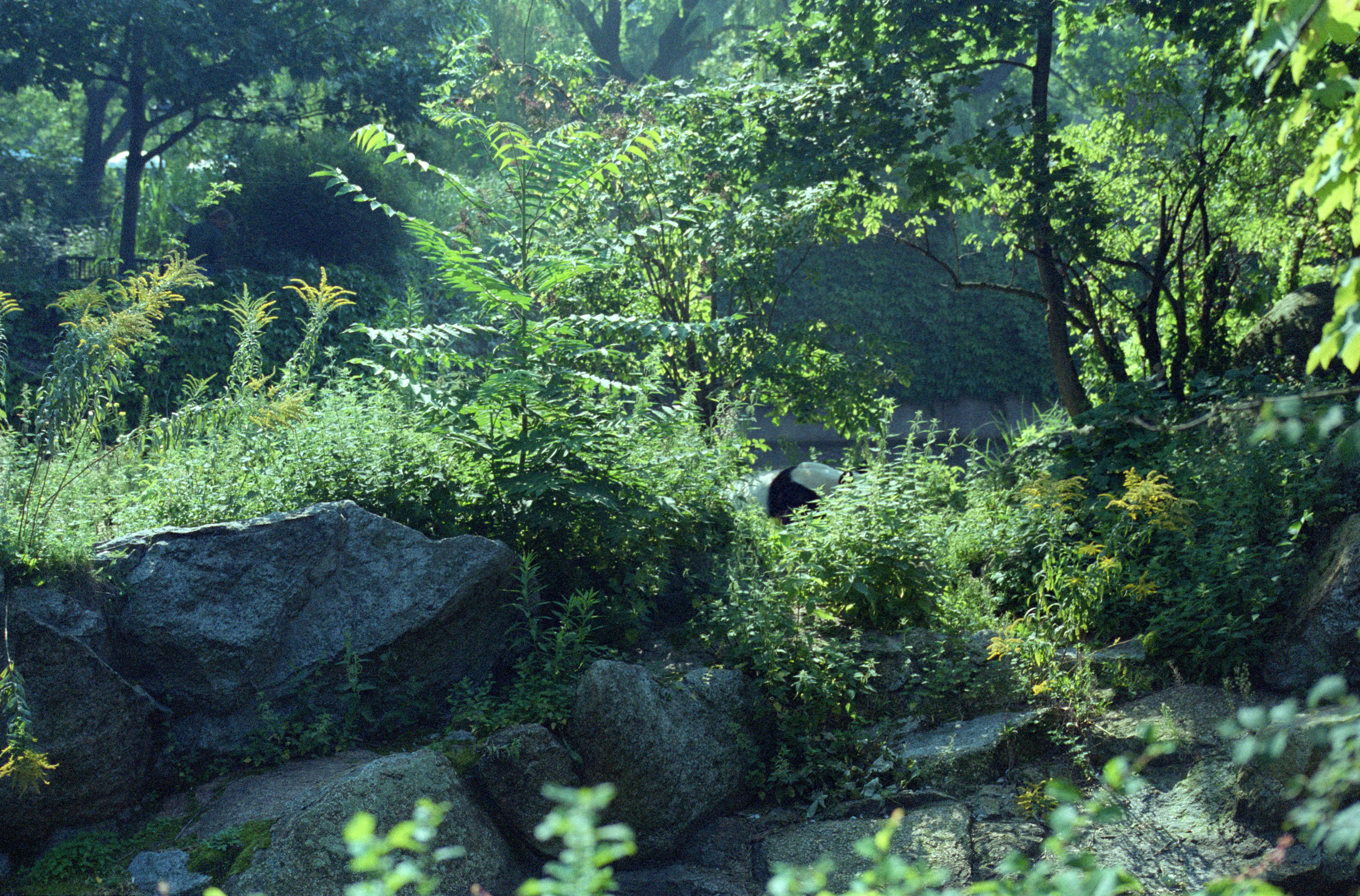 Zoo Berlin