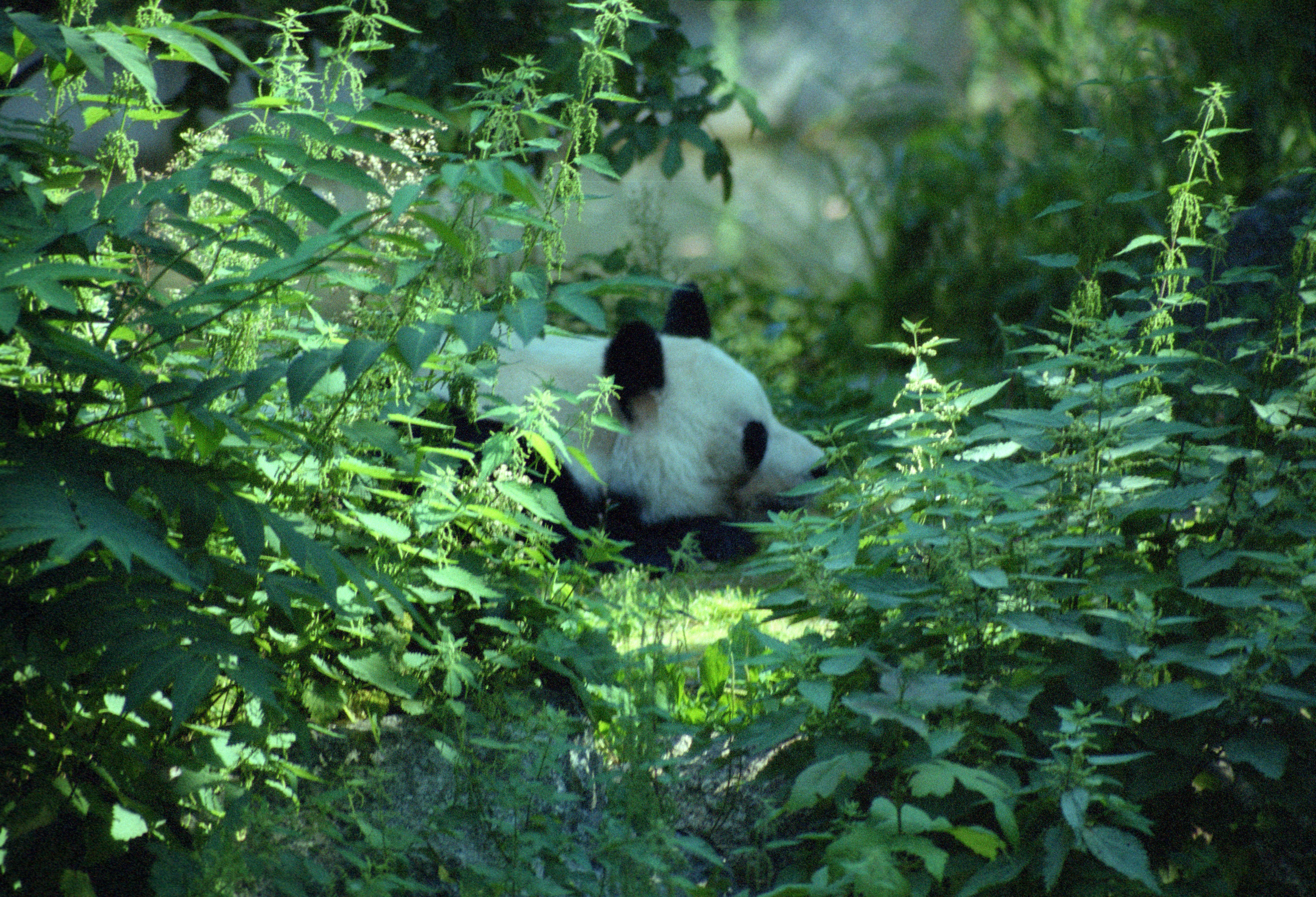 Zoo Berlin