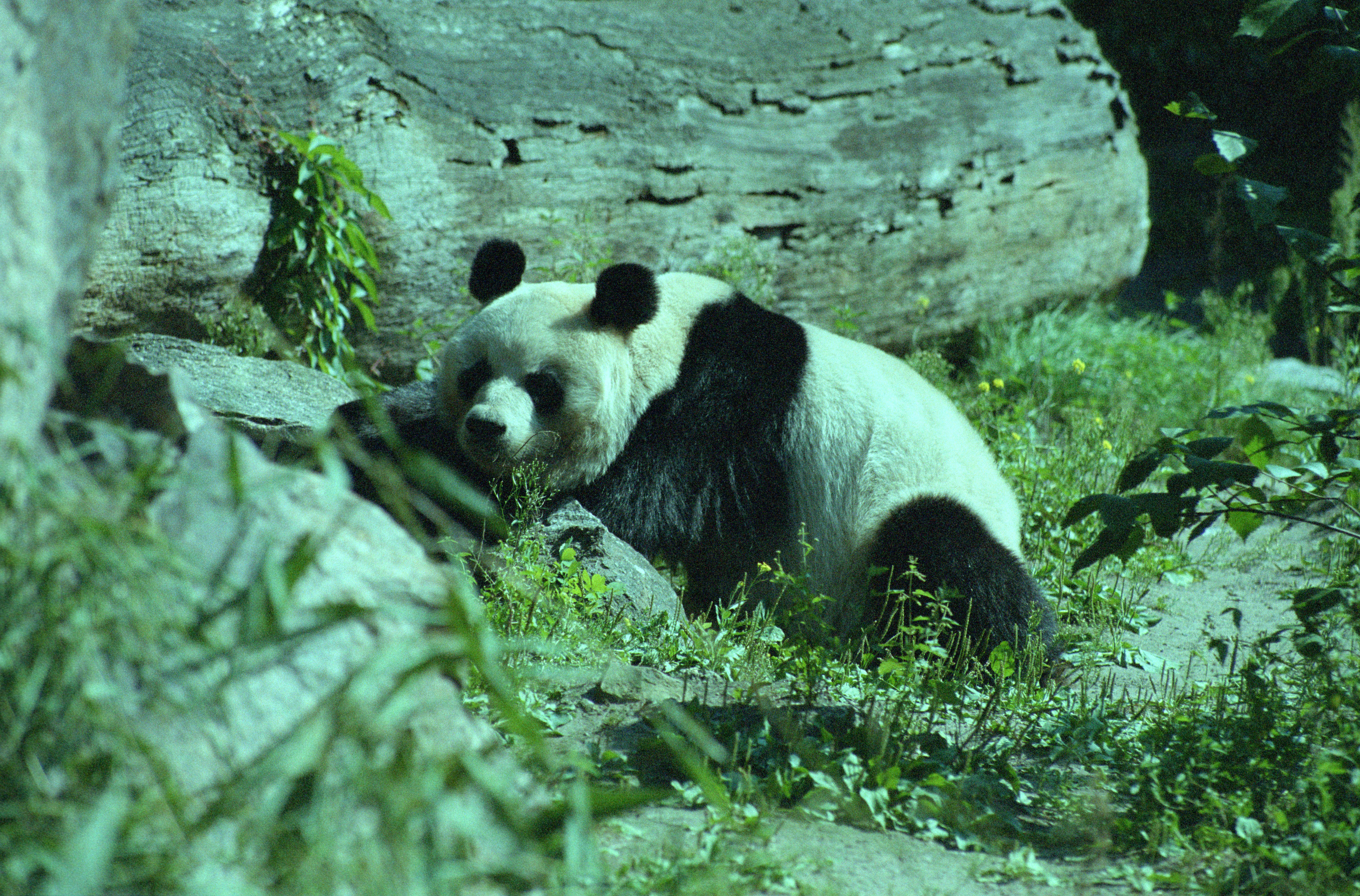 Zoo Berlin
