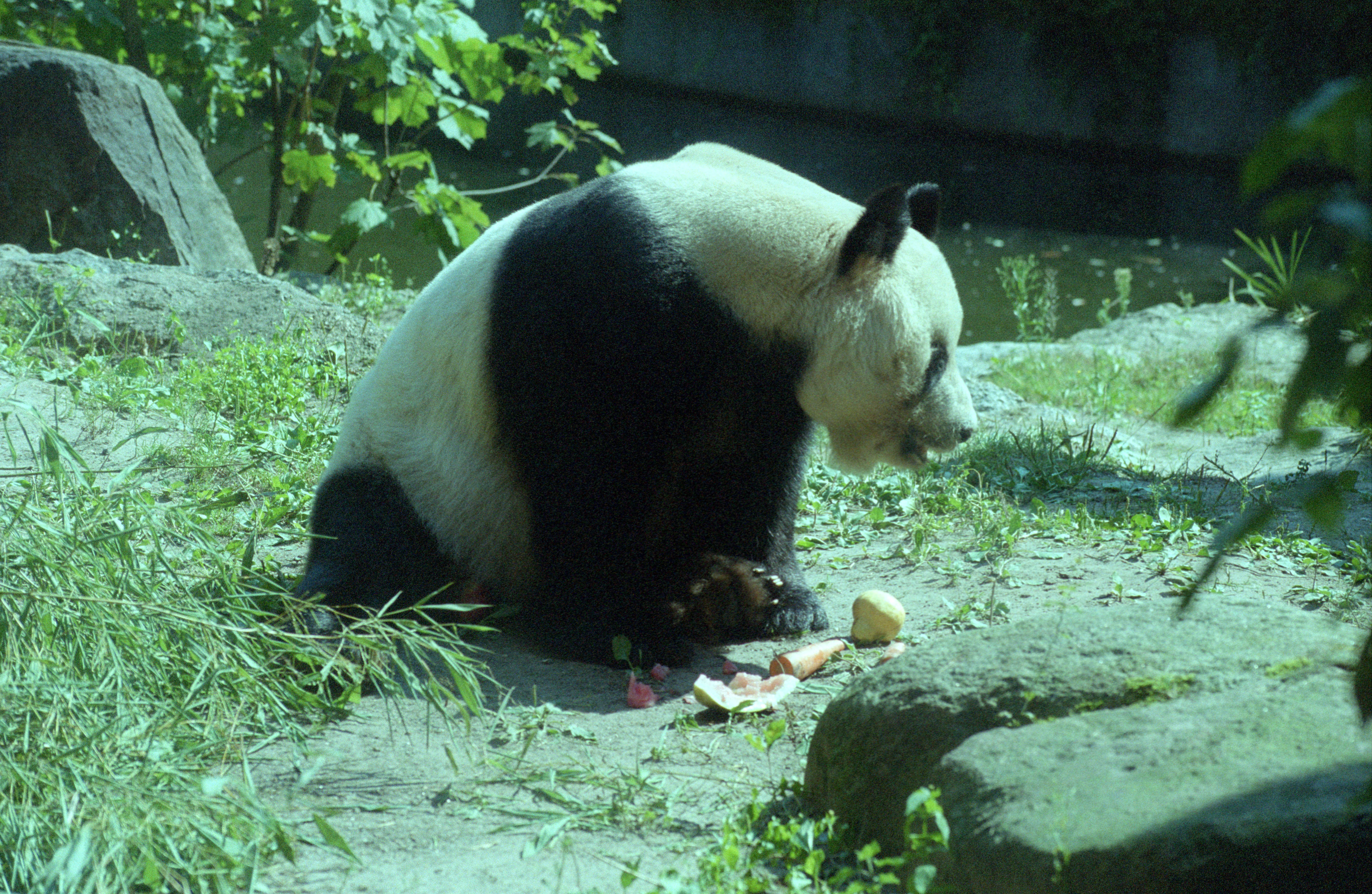 Zoo Berlin