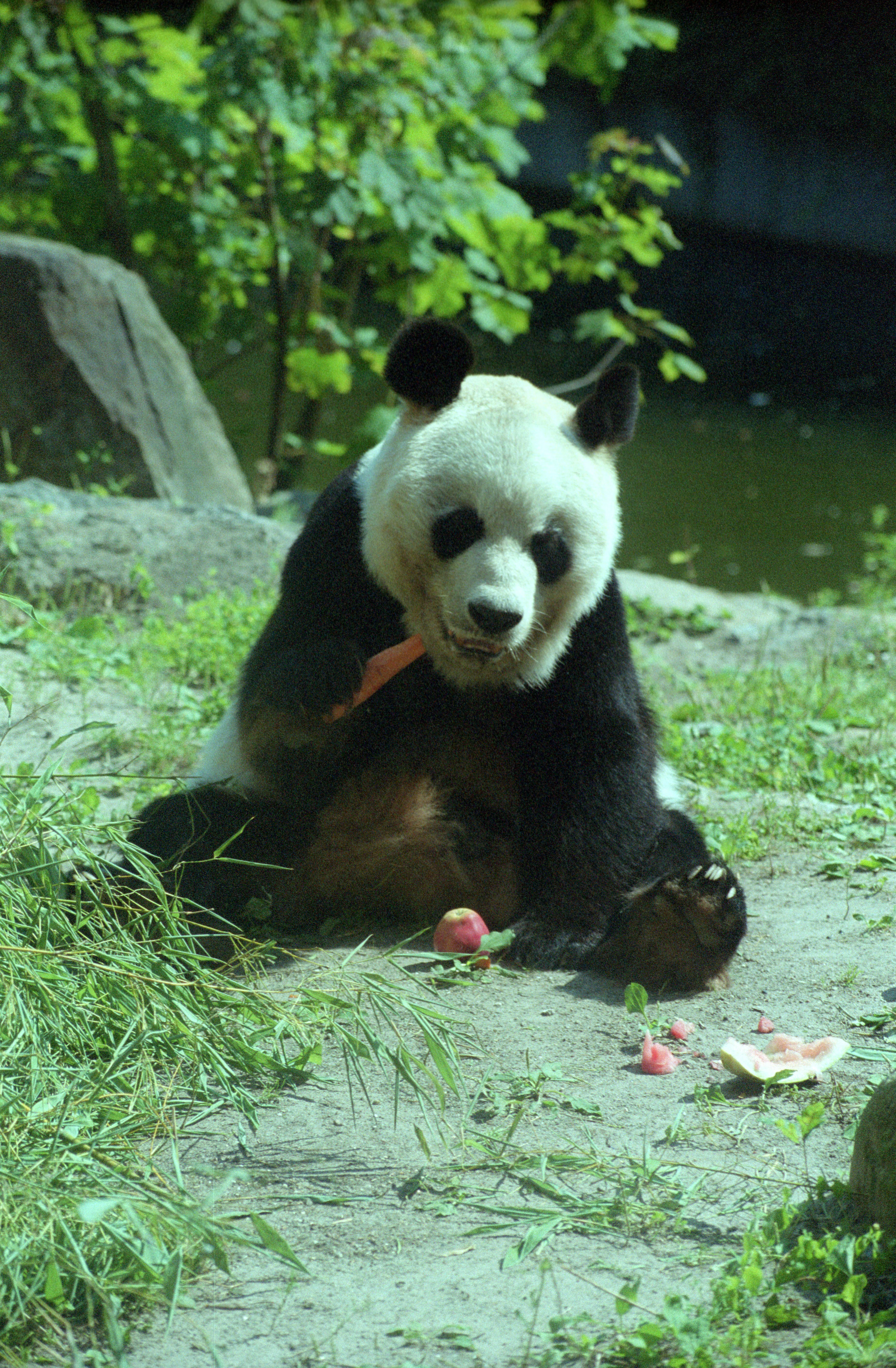 Zoo Berlin